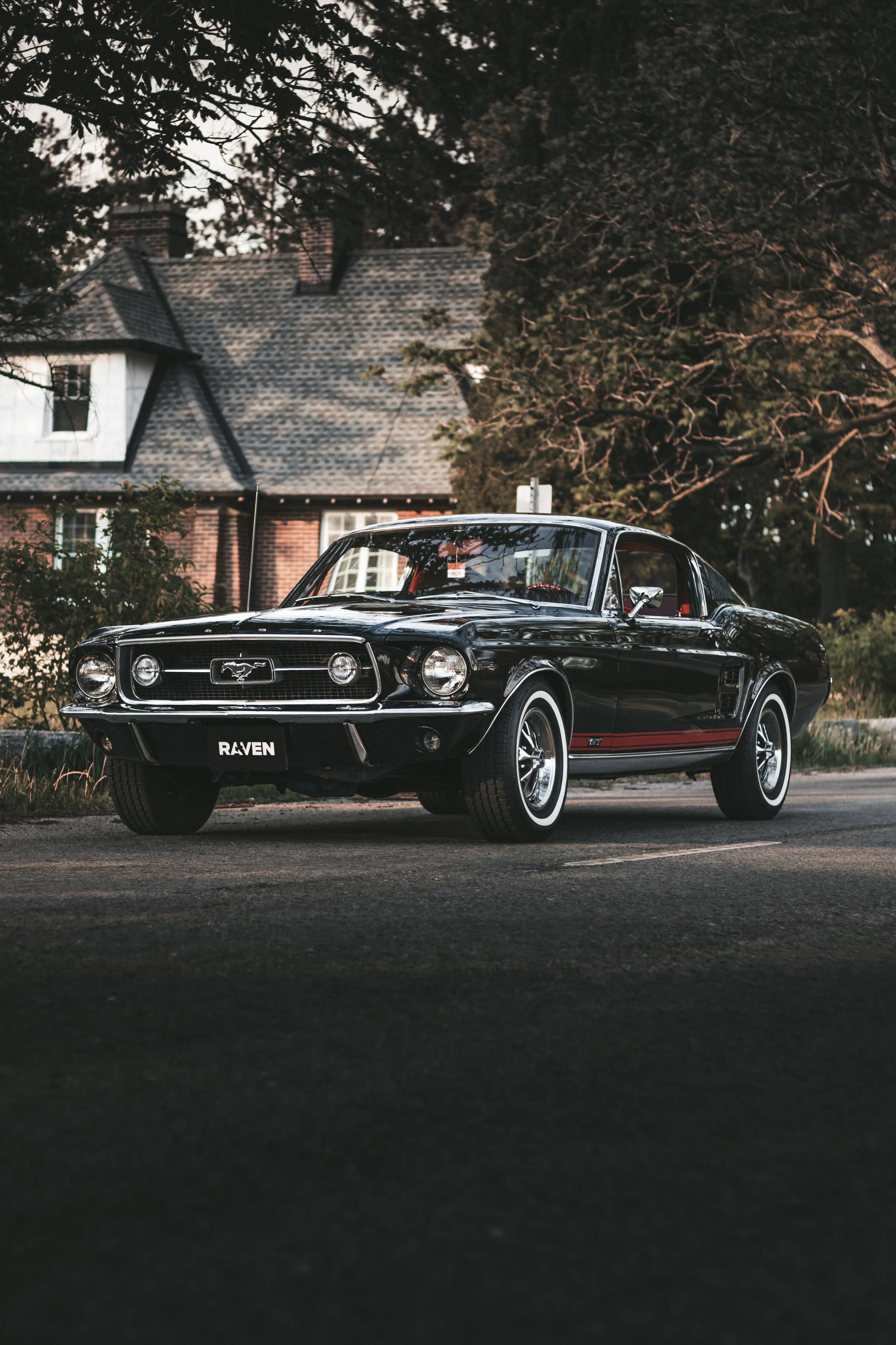 Copy of _MG_4611.jpg