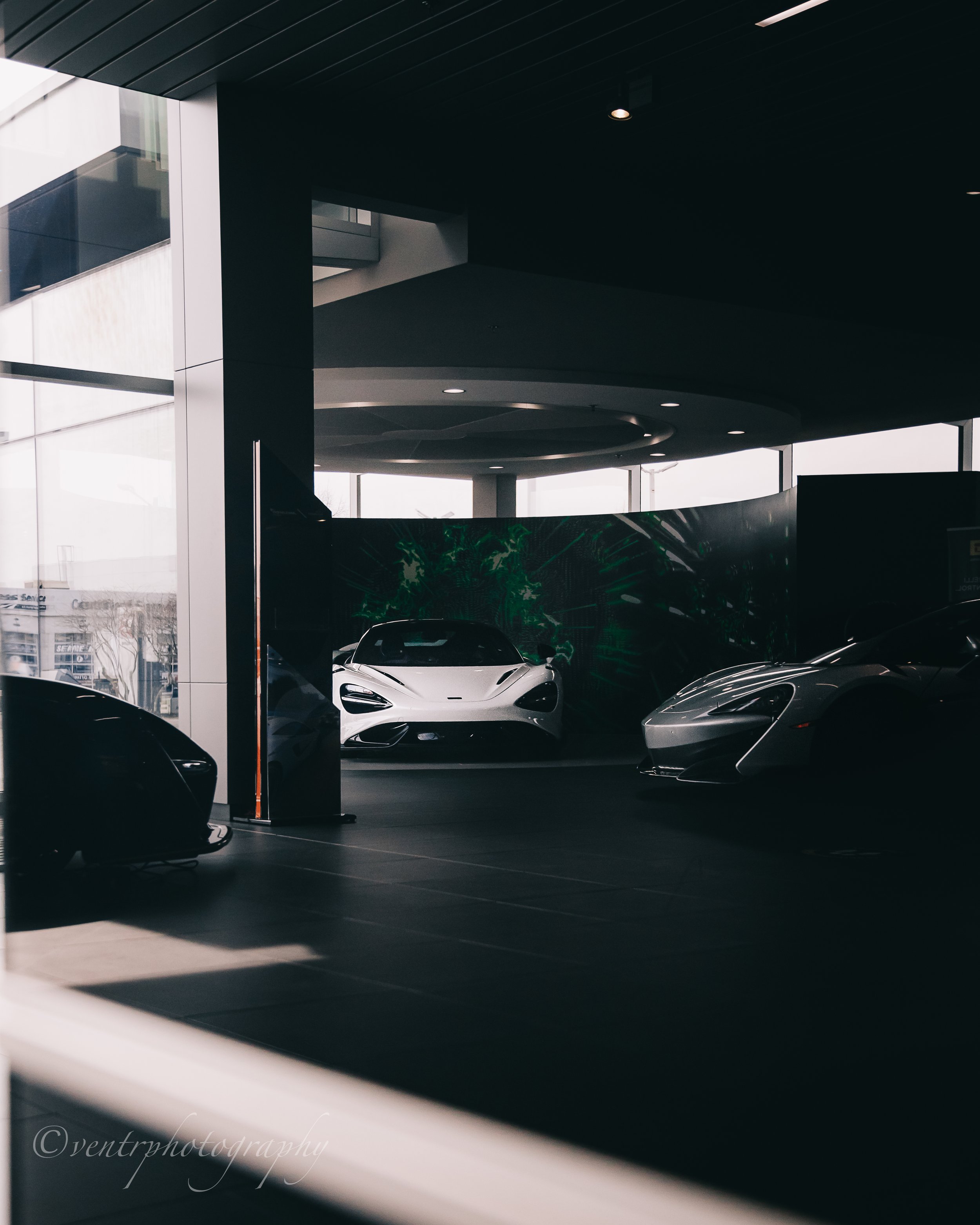 Copy of IMG_9023.jpg