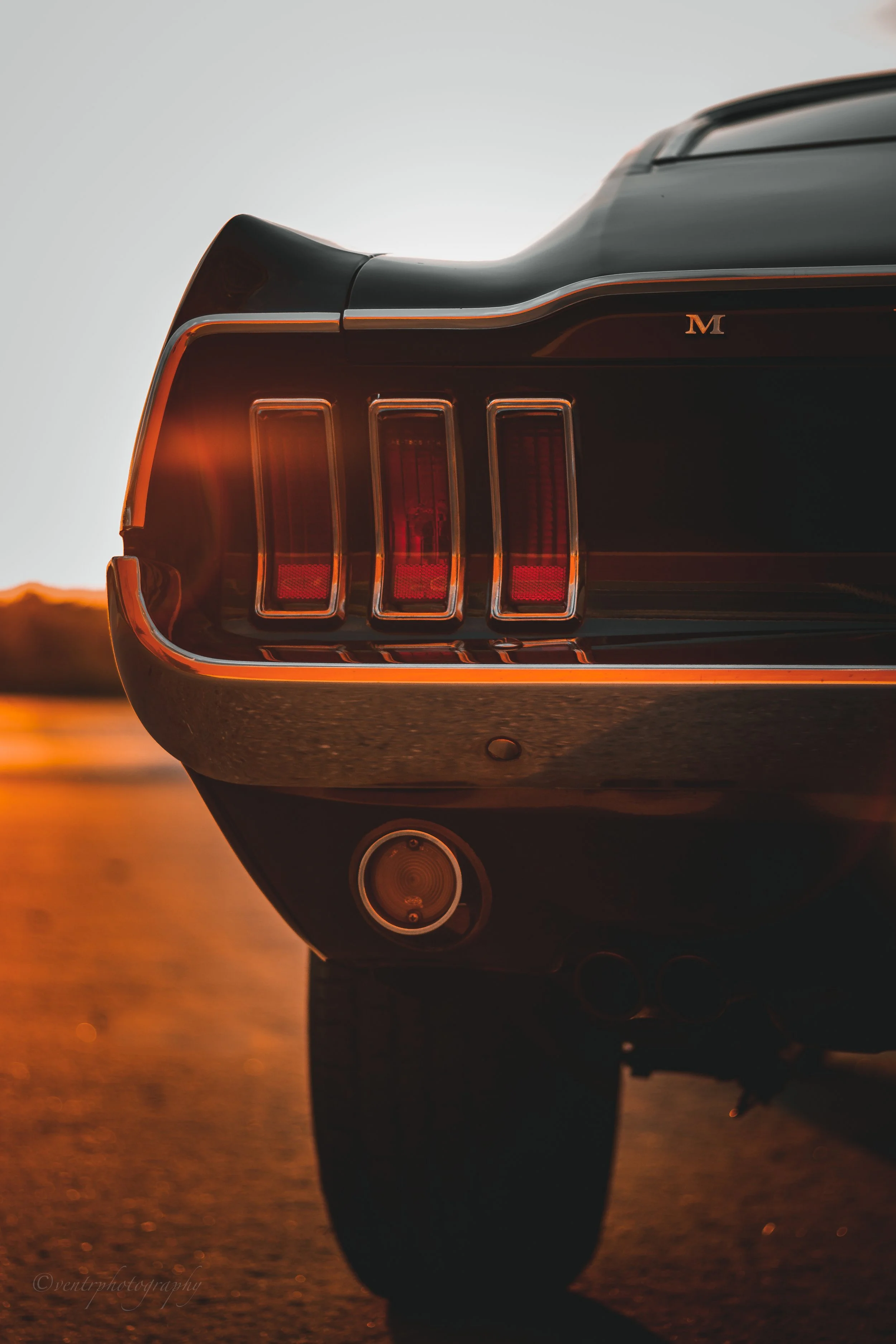 Copy of _MG_4758.jpg