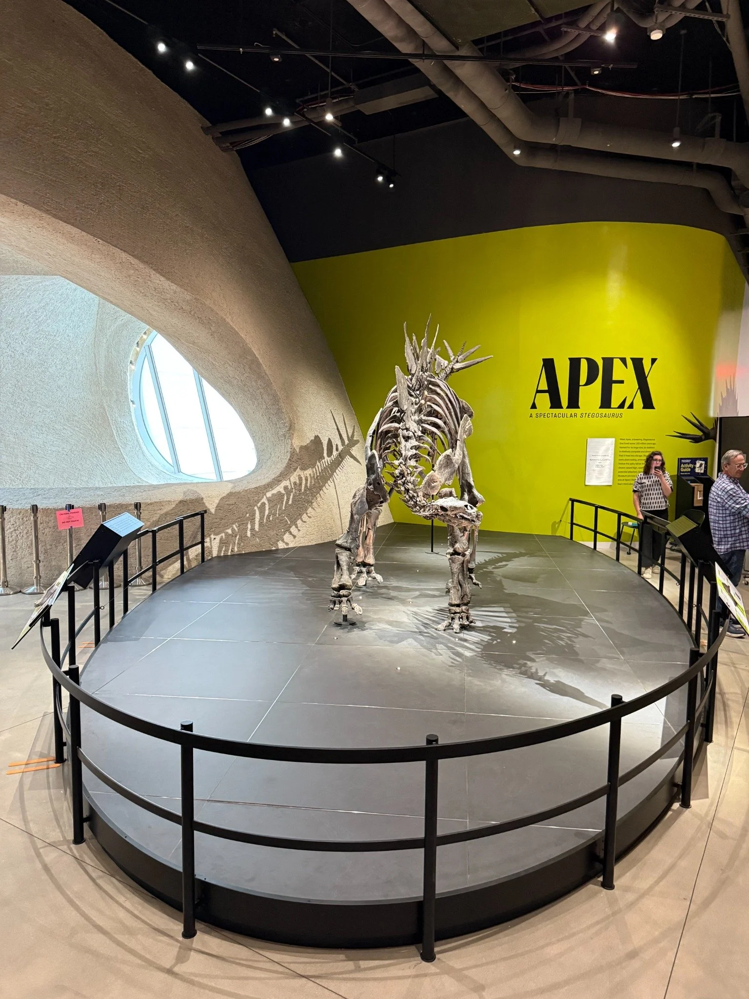 AMNH.jpeg