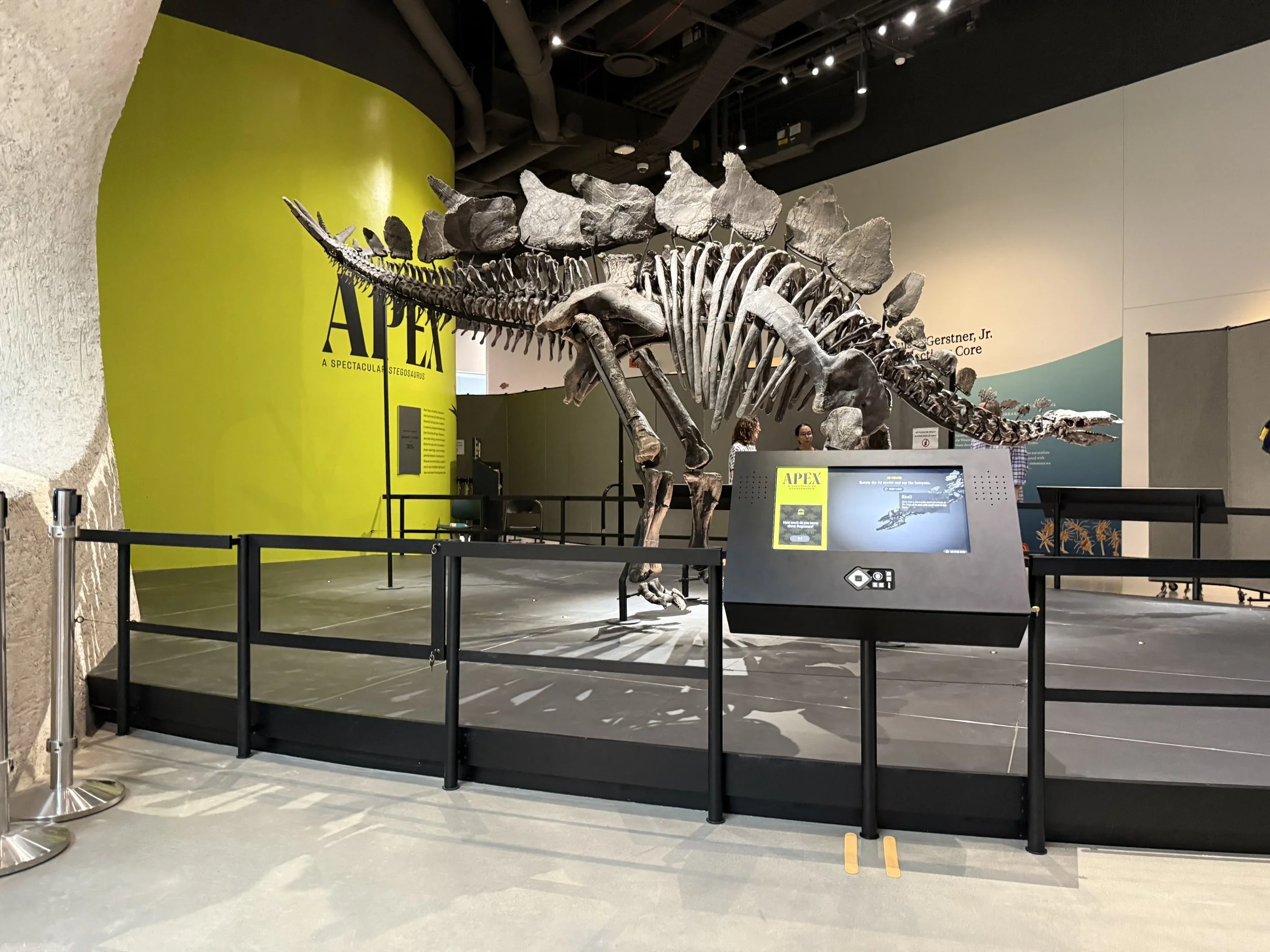 IMG_5664.jpeg
