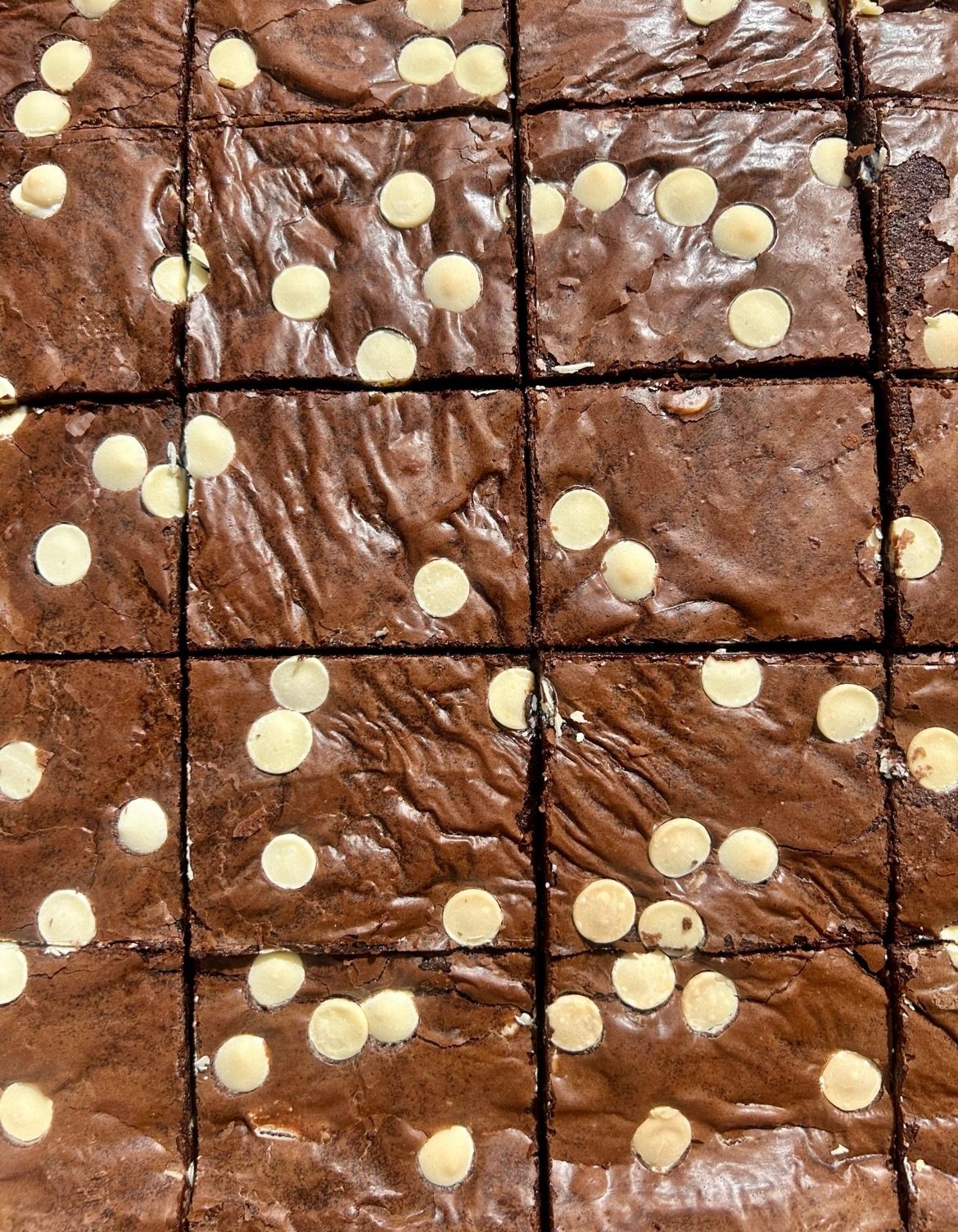 Four ways to fall in love with a brownie 🍫✨ 

Our wholesale chocolate brownies are now available in four irresistible flavours: 
&bull; Classic Plain 
&bull; White Chocolate Chip 
&bull; Biscoff 
&bull; Salted Caramel 

Perfectly rich, fudgy, and re