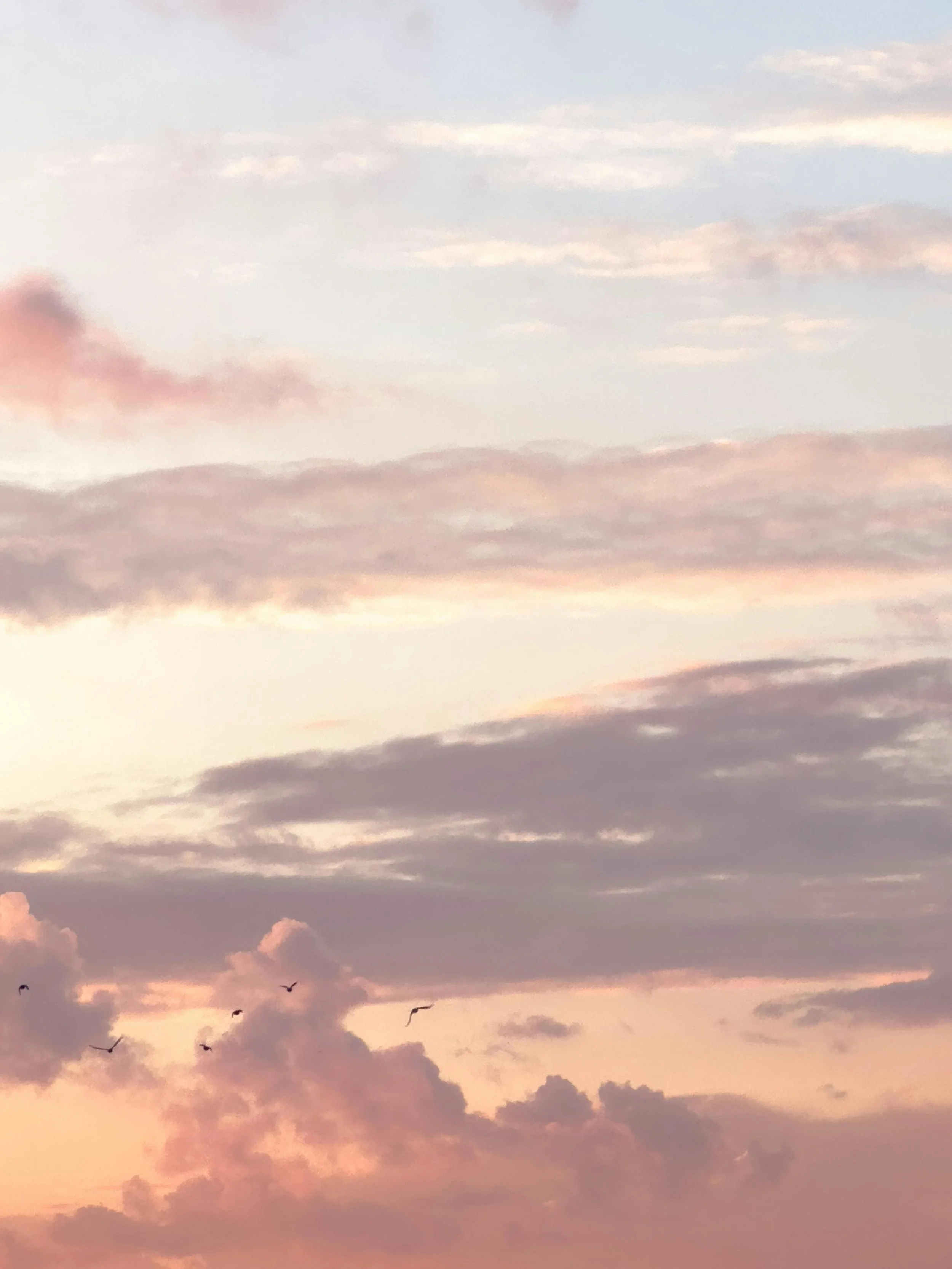 Lebenswege – vom gelebten Leben erzählen. &nbsp; &nbsp;