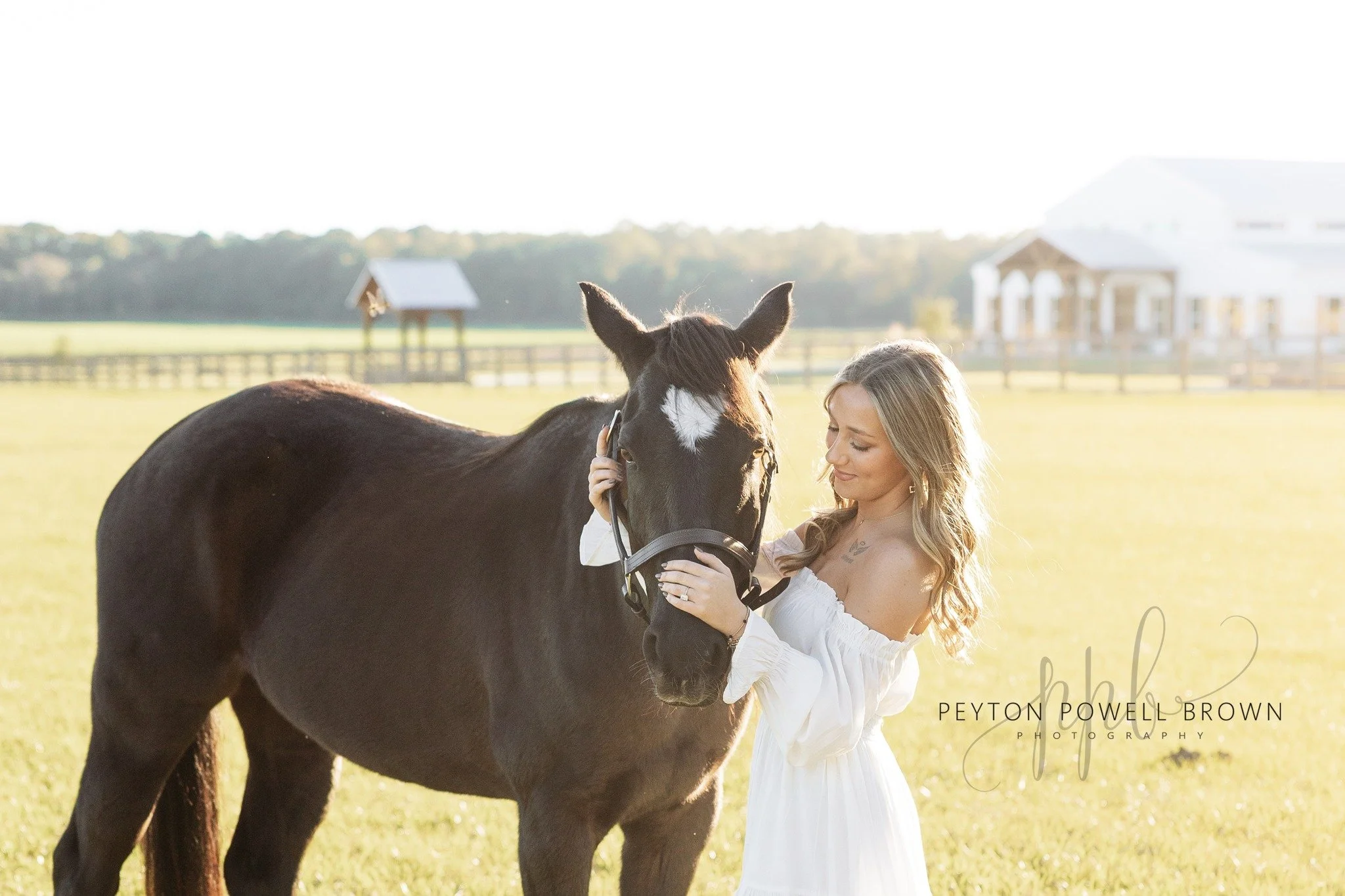 Peyton Powell Brown Photography