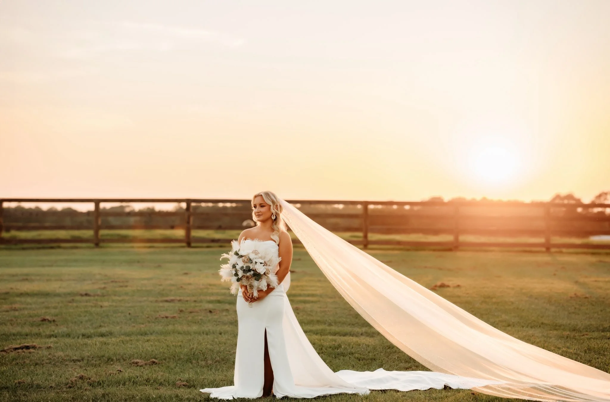 Brandi Anderson Photography