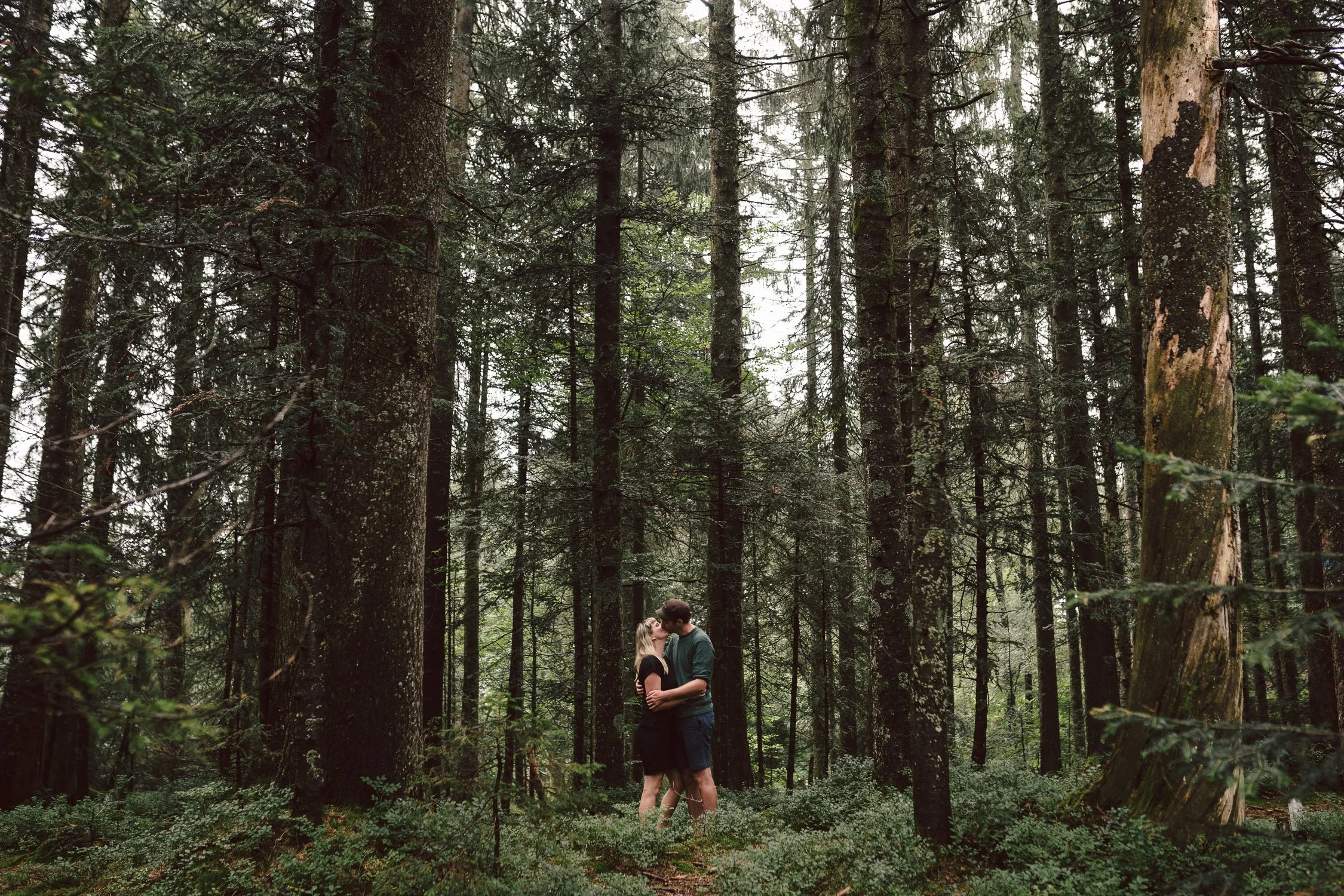 Ein Paar küss sich in einem dichten, grünen Wald.