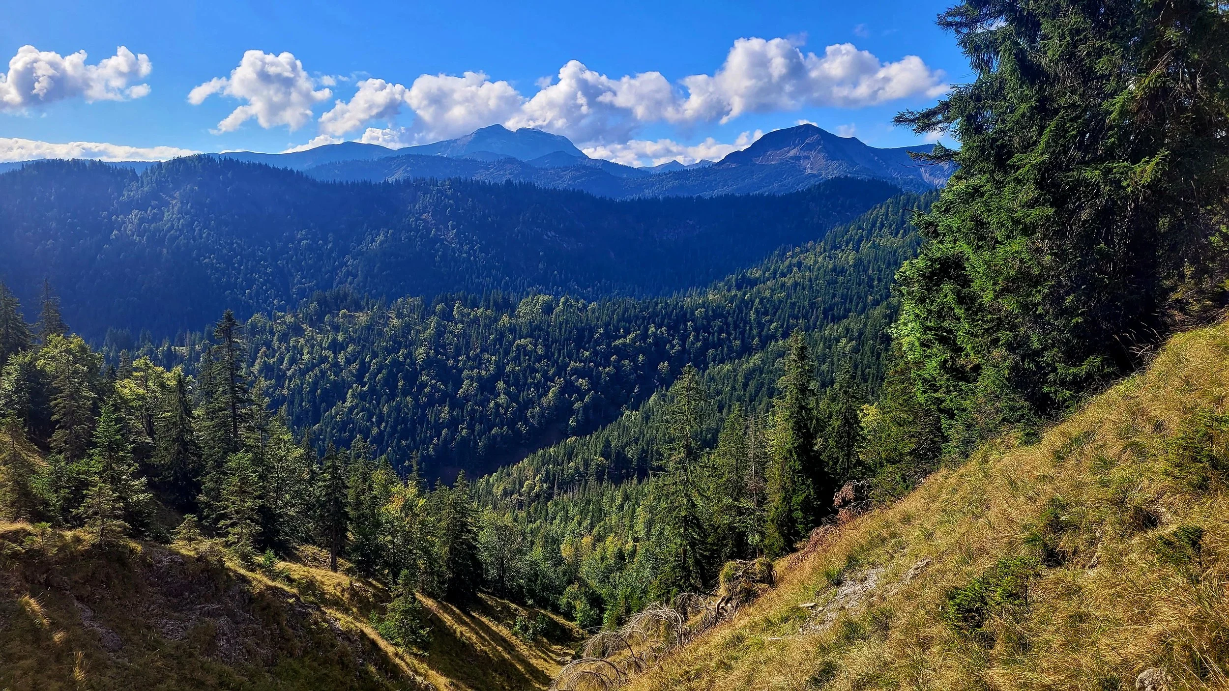 Alpenvorland