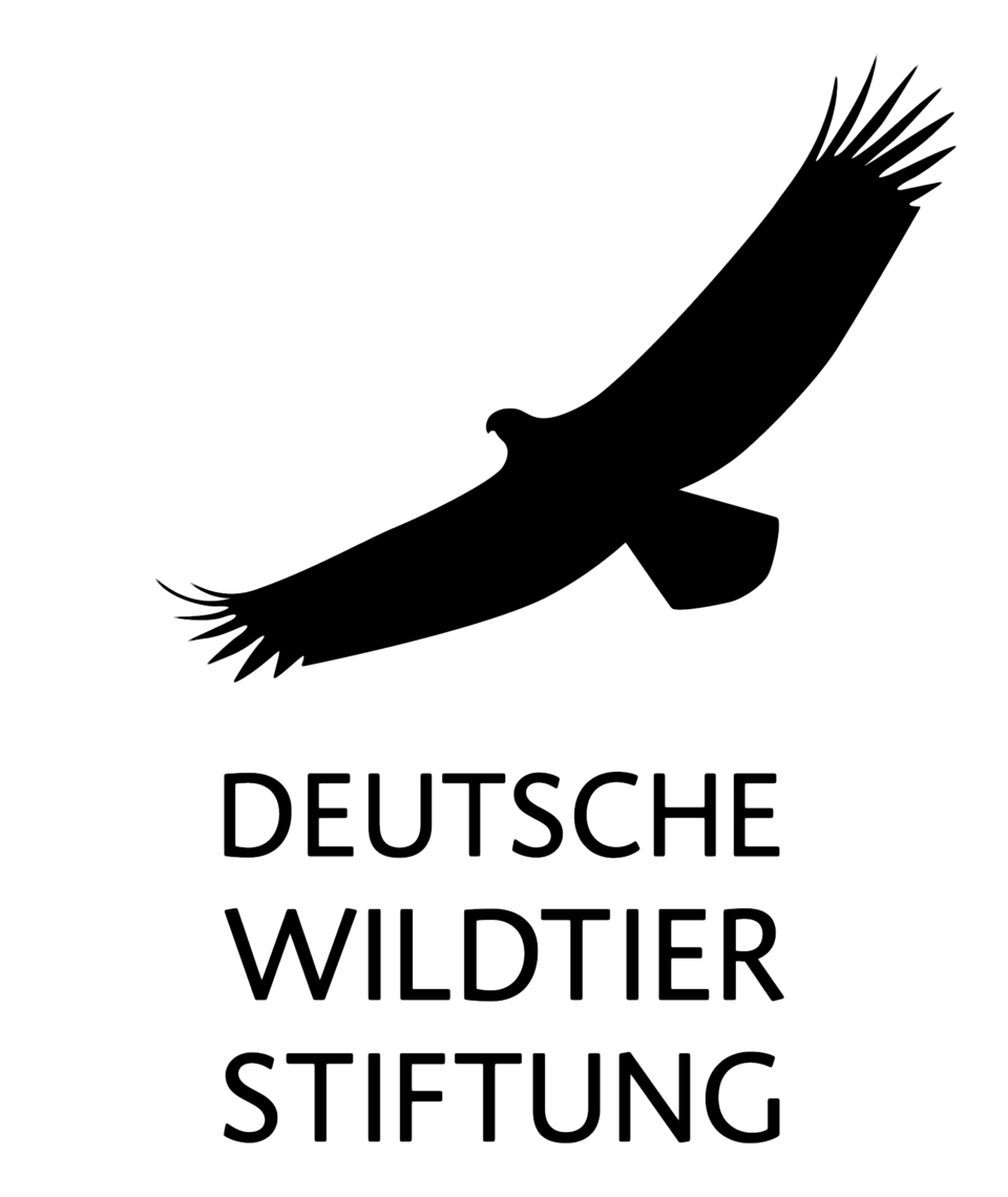 Linienzeichnung eines fliegenden Greifvogels über dem Text 'Deutsche Wildtier Stiftung'.