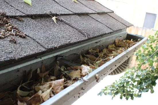 Gutter that needs cleaning