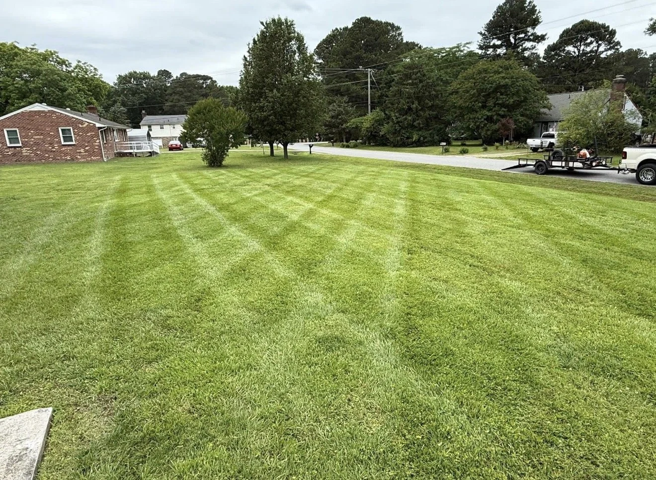 beautifully cut yard
