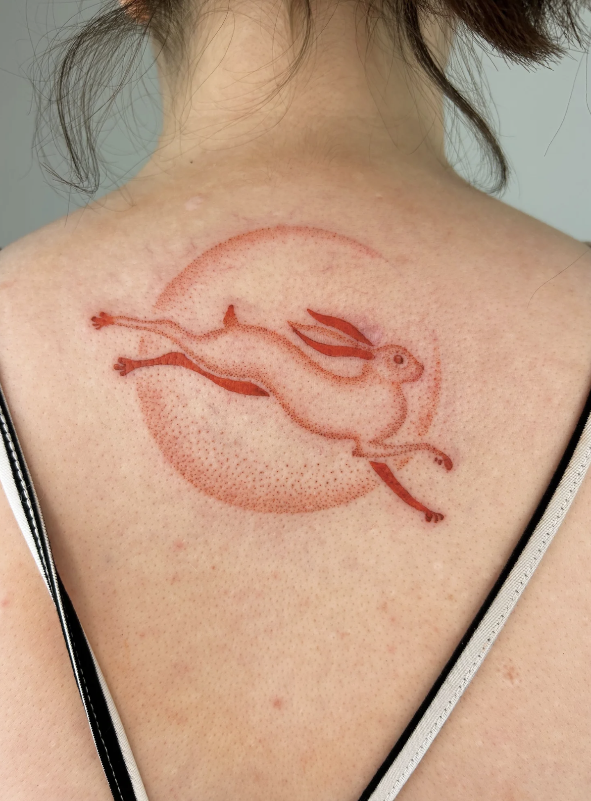 Screenshot 2026-02-19 at 1.44.57 PM.png