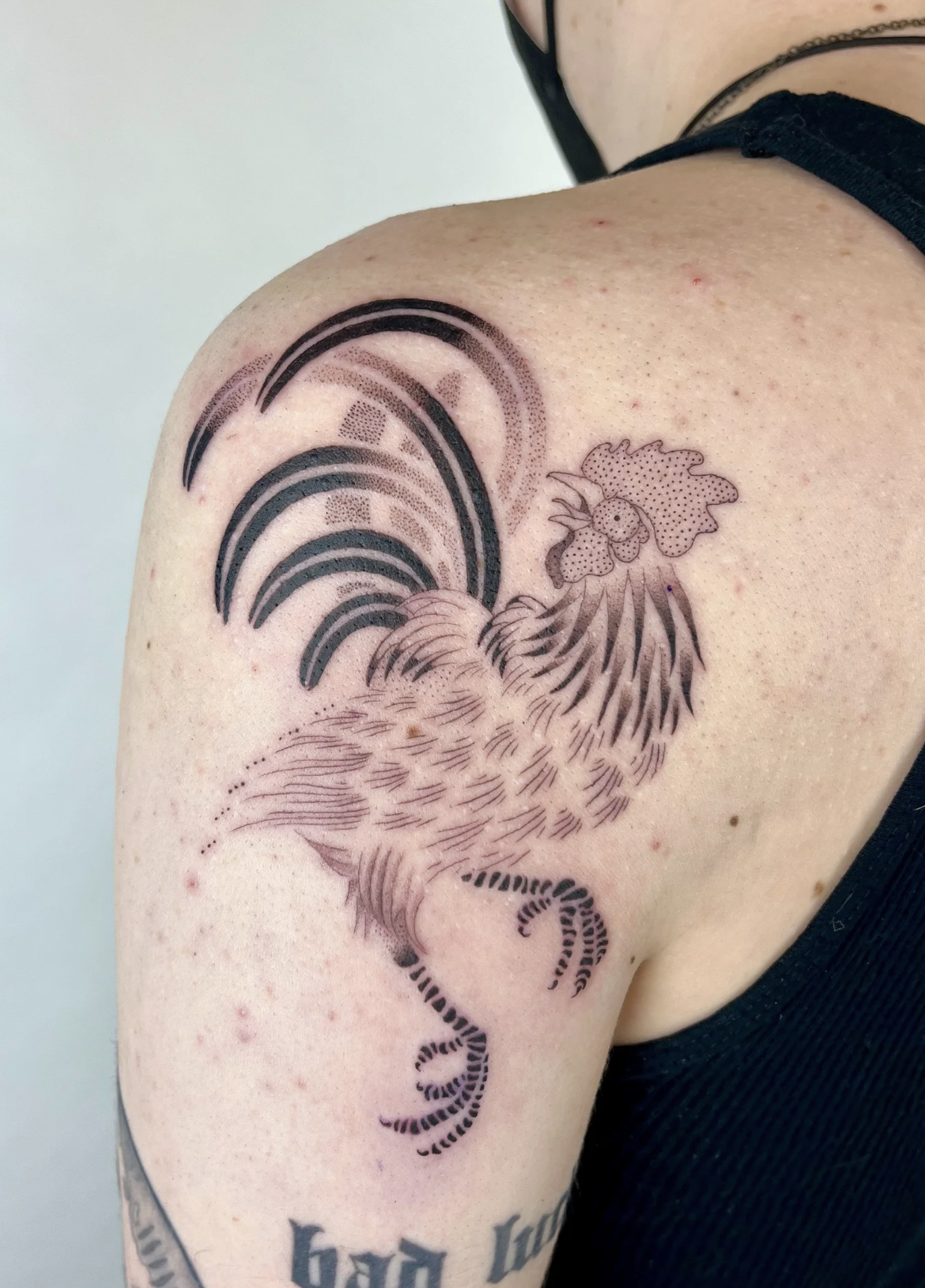 Screenshot 2026-02-19 at 1.44.22 PM.png