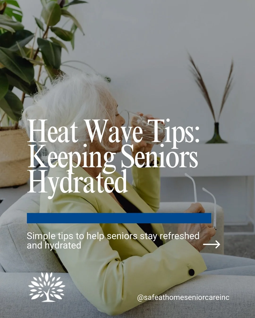 Hydration tips for this heat wave 🌞🌊