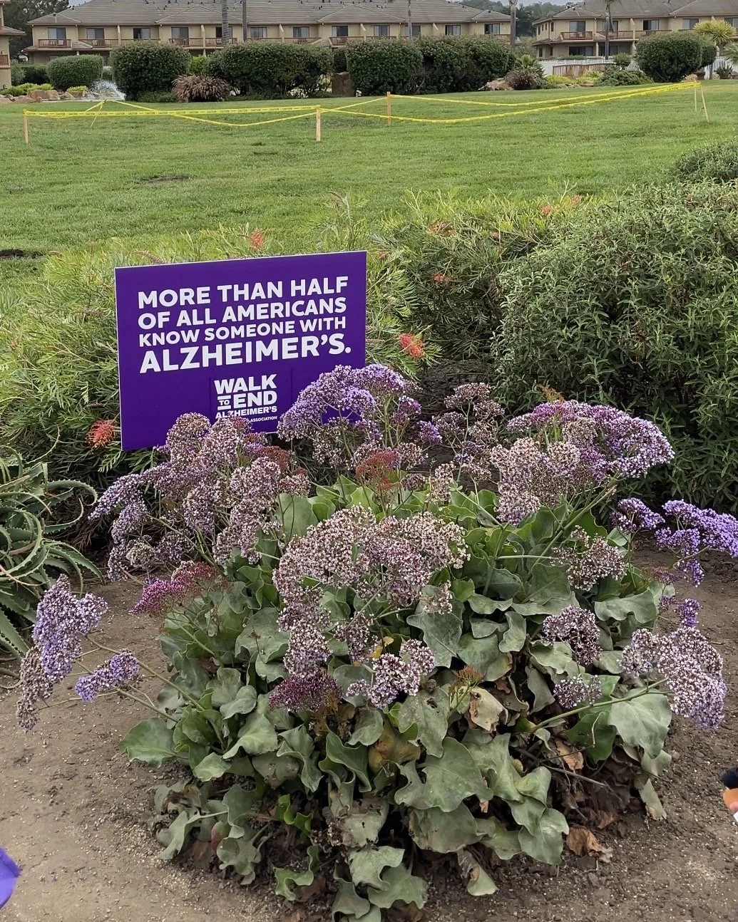 alz walk sign.jpg