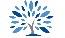 Geometric drawing of an outline square with sections divided by vertical, horizontal, and half circle lines.