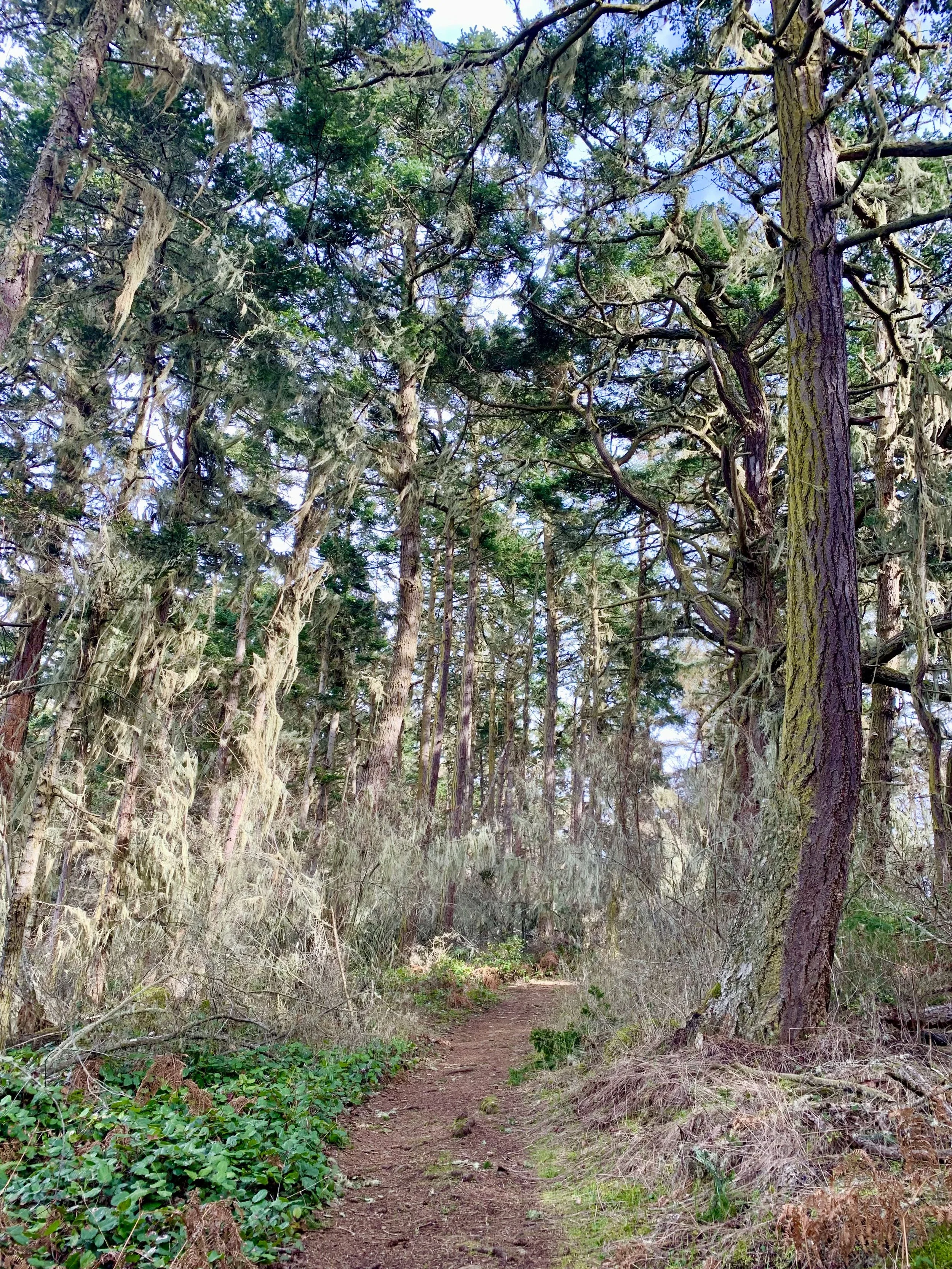 Holistic Health Counseling