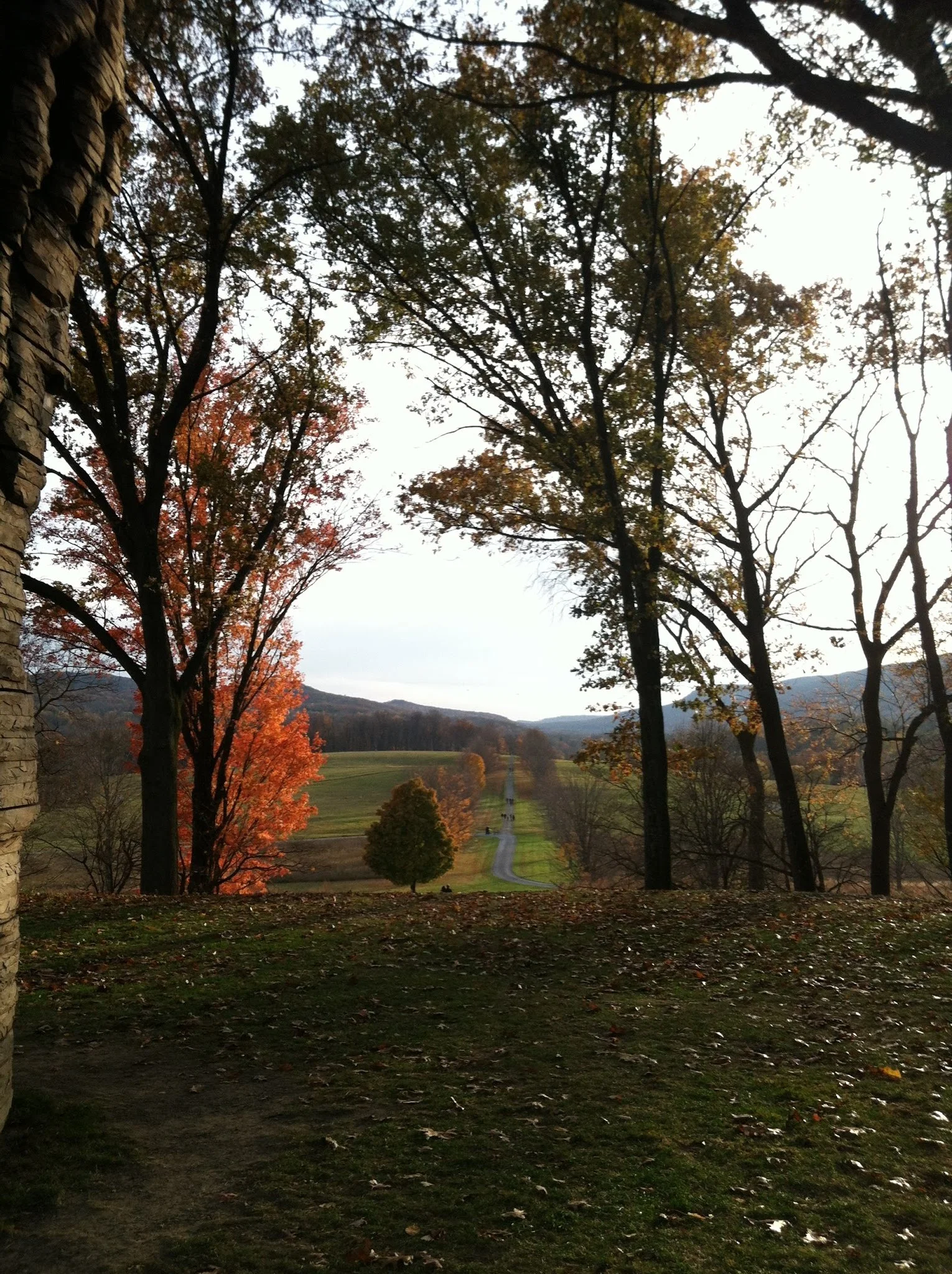 Medication Management