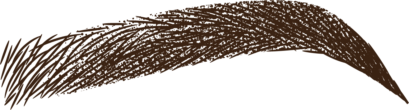 Close-up illustration of a human eyebrow.