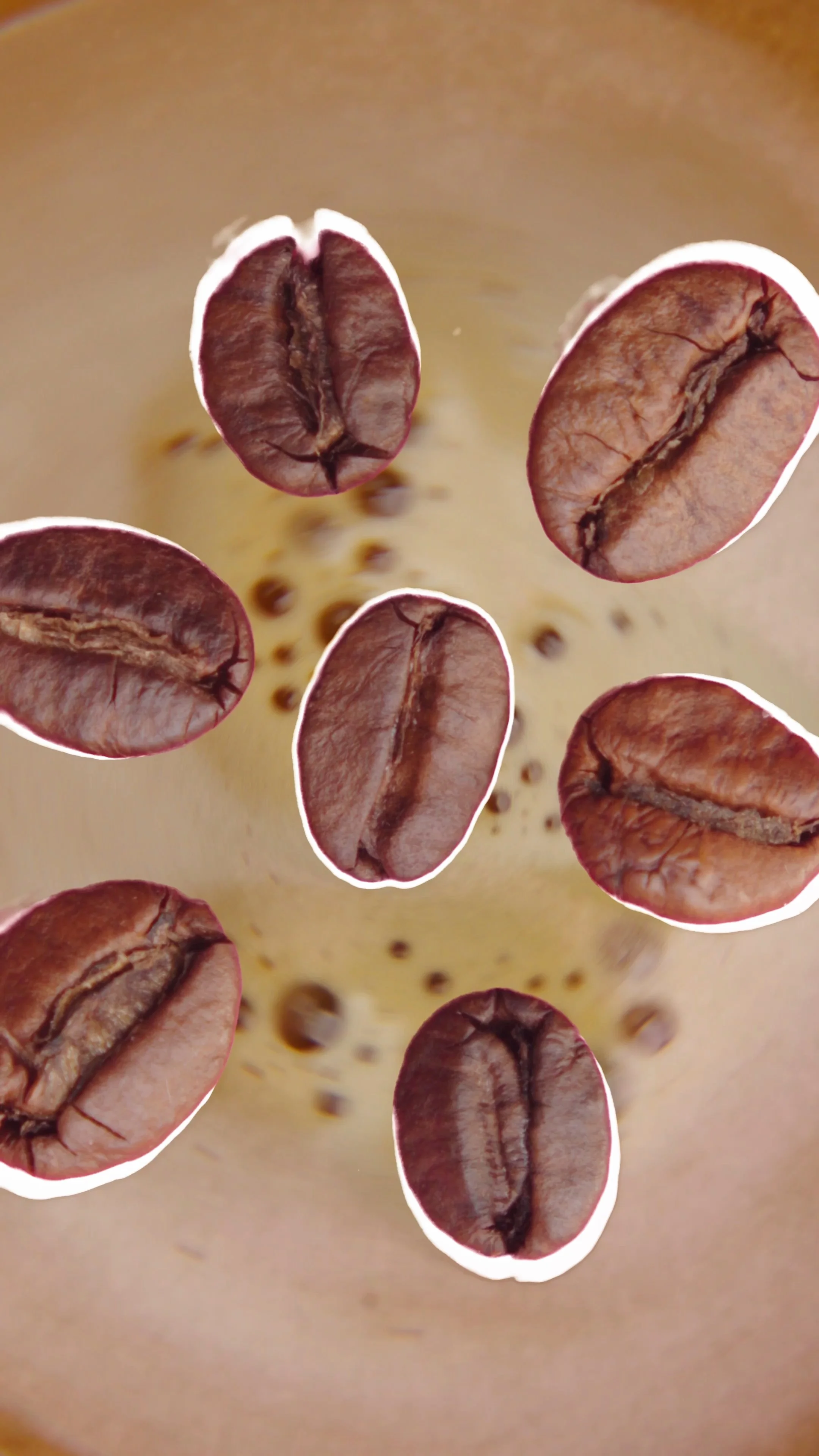 Still 2026-03-04 114756_1.1.1.jpg