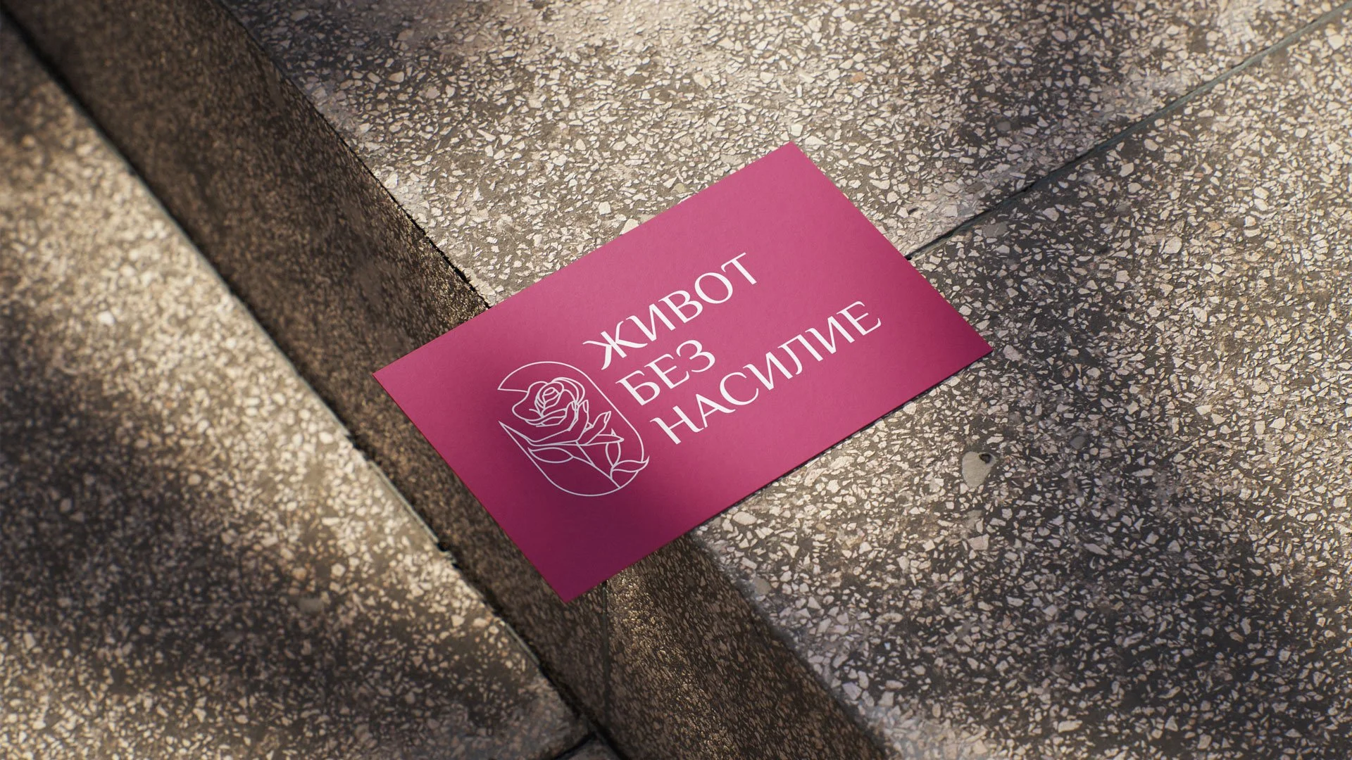 jivot-bez-nasilie---mockup-4.jpg
