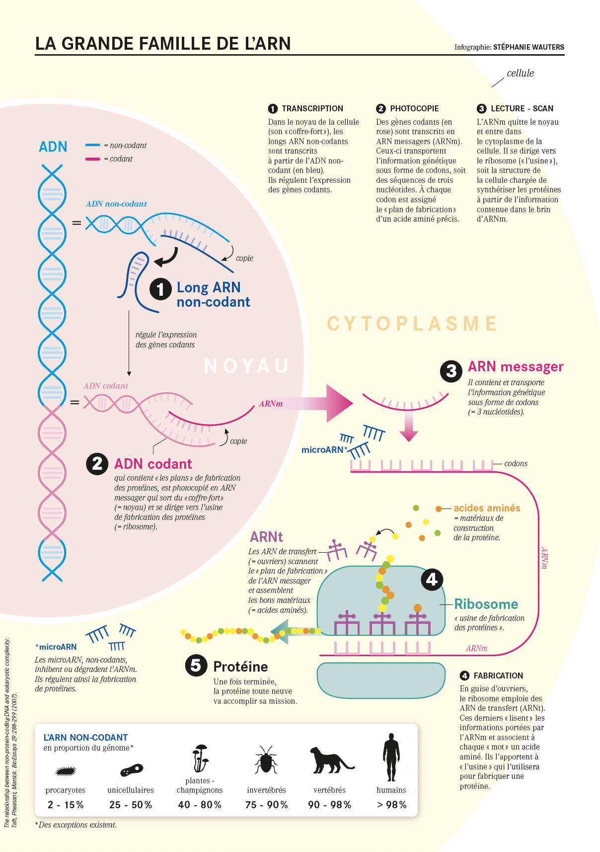 Capture d’écran 2026-02-12 à 15.39.15.png