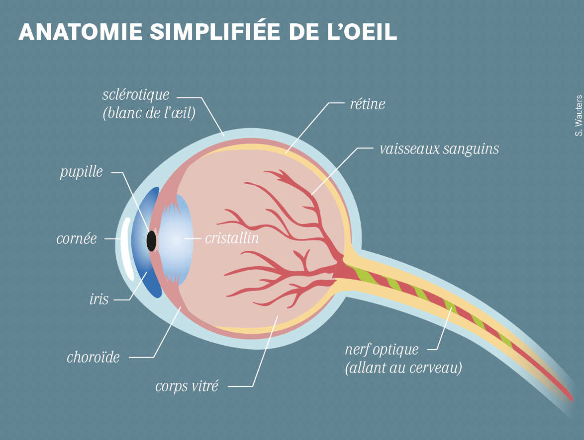 Capture d’écran 2026-02-12 à 15.38.19.png