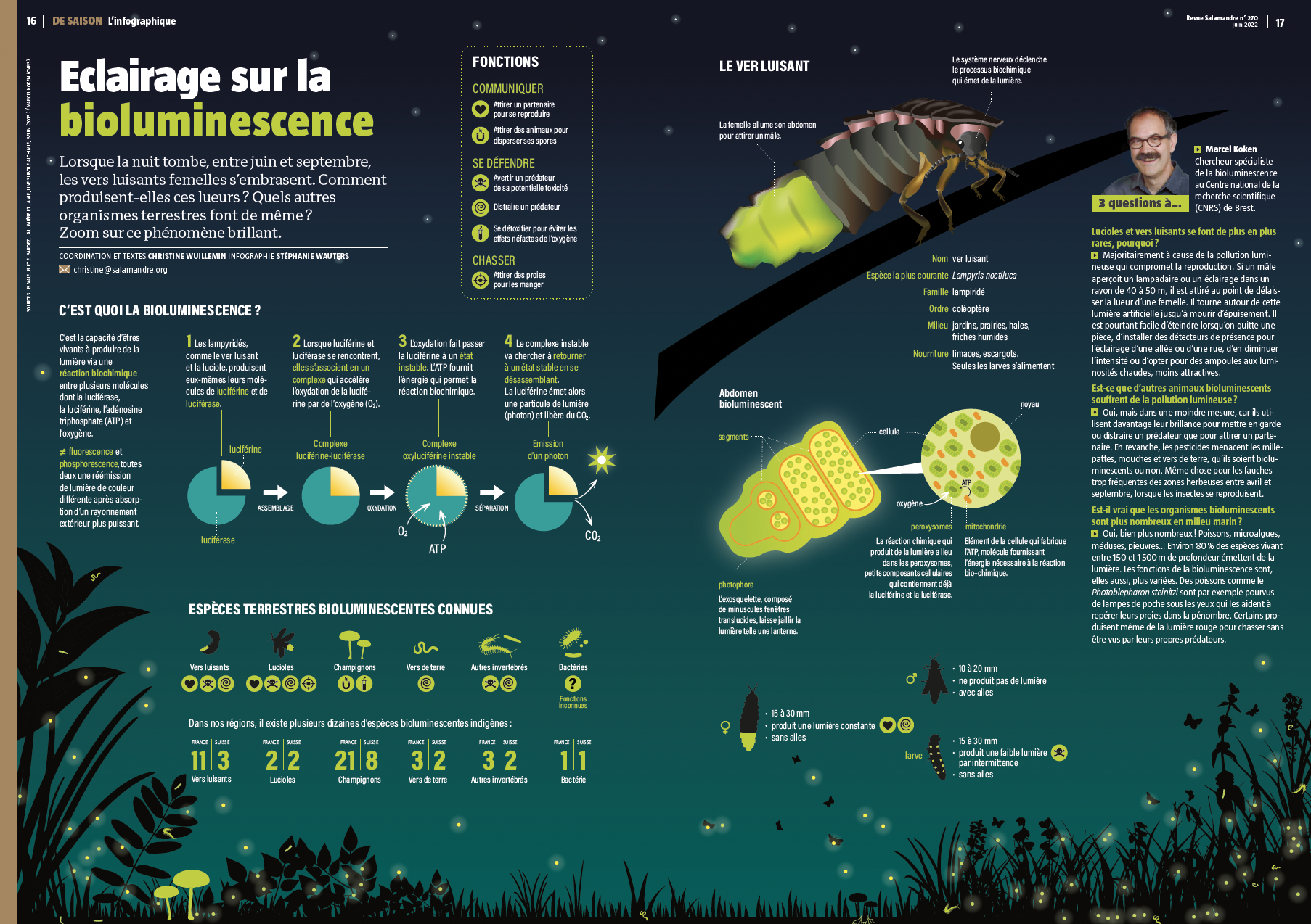 Capture d’écran 2026-02-12 à 15.51.10.png