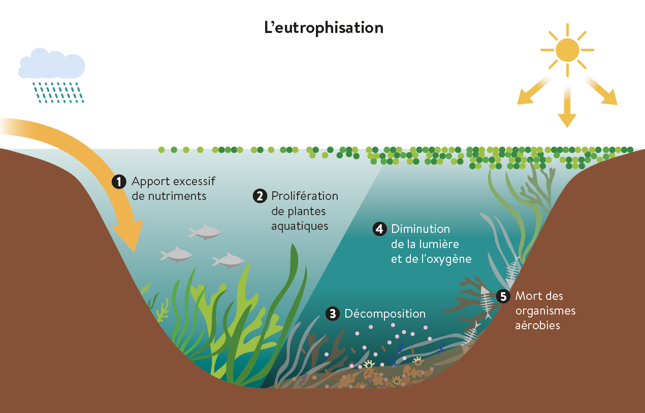 Capture d’écran 2026-02-12 à 15.08.07.png