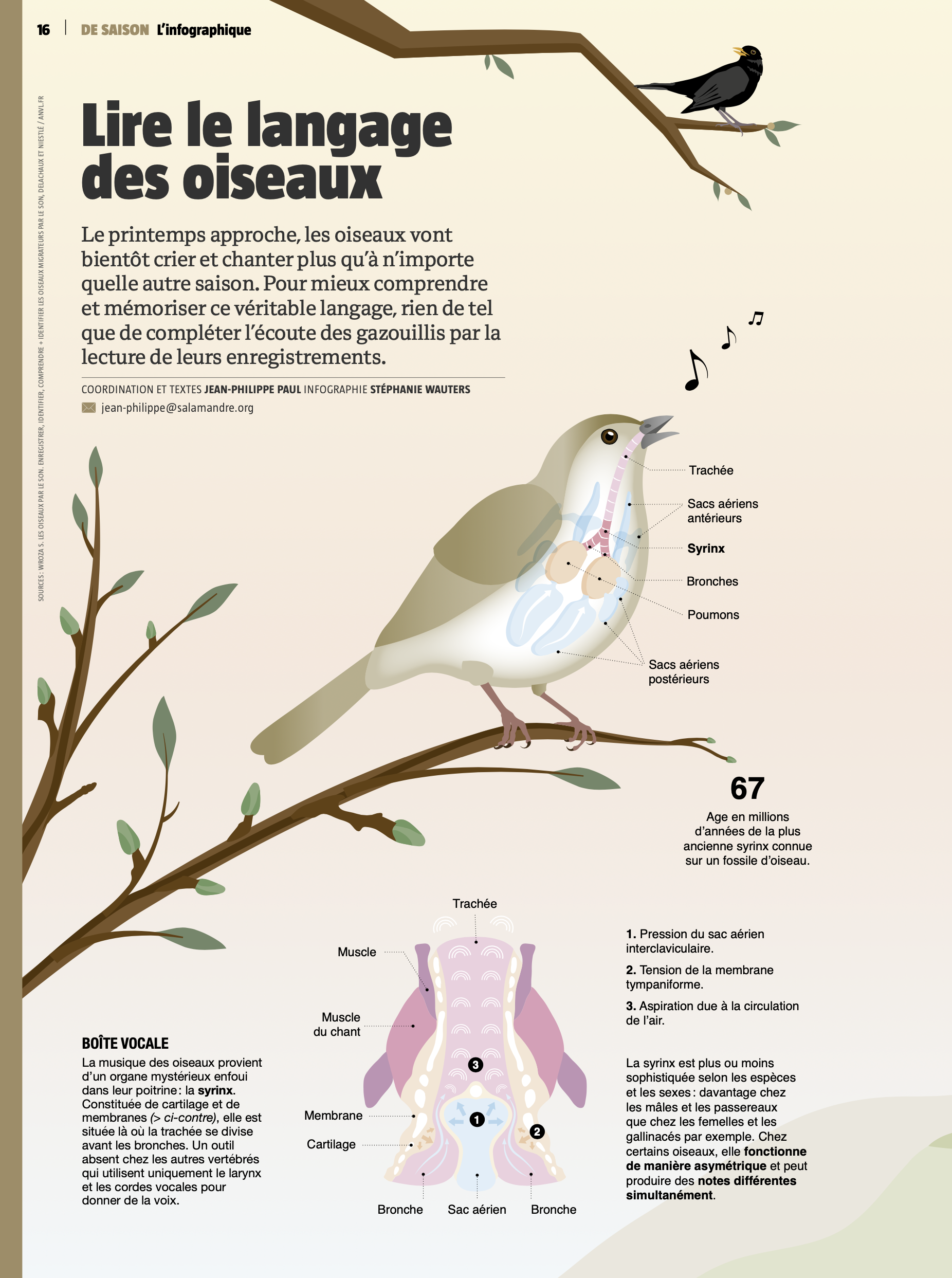 Capture d’écran 2026-02-11 à 12.46.16.png