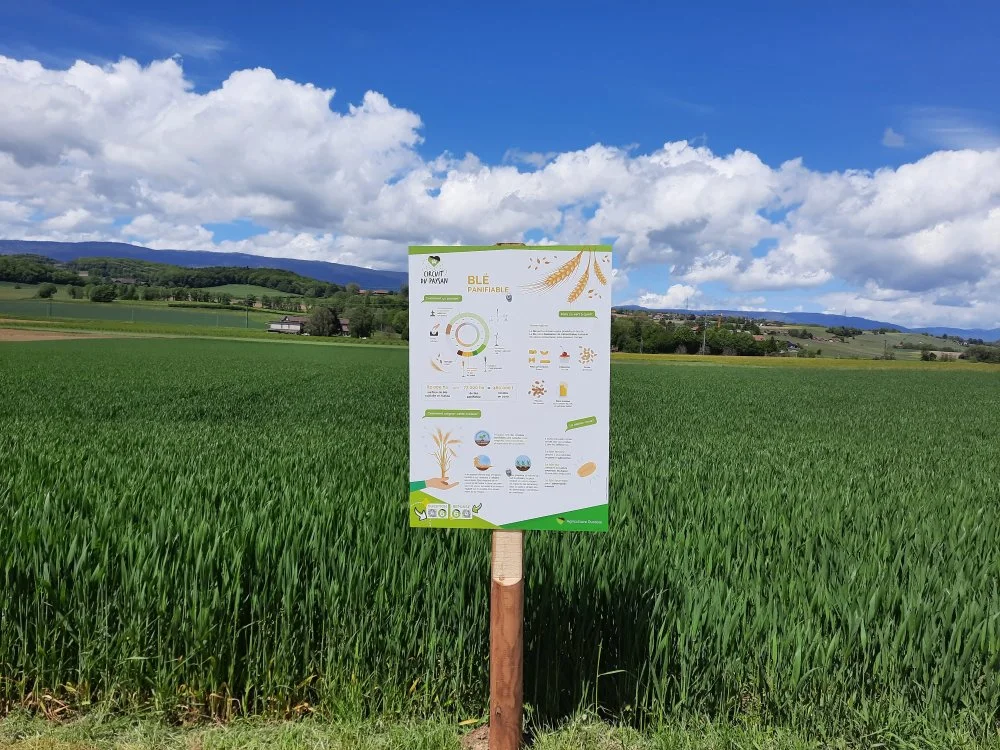 1652798464_agriculturedurablecircuitpaysan.jpg