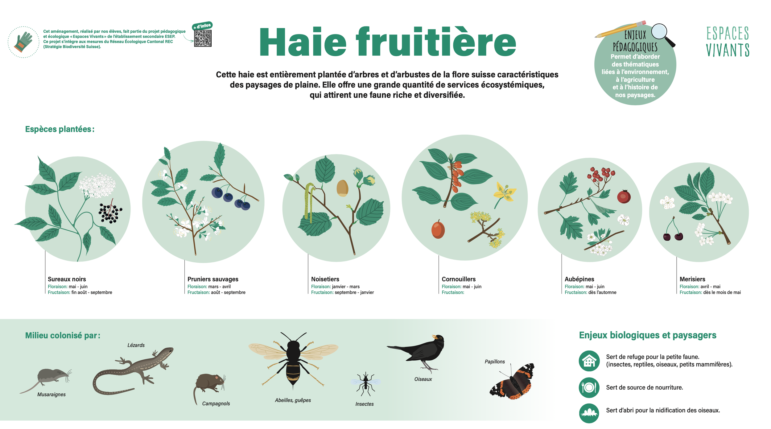 Capture d’écran 2026-02-10 à 20.59.27.png