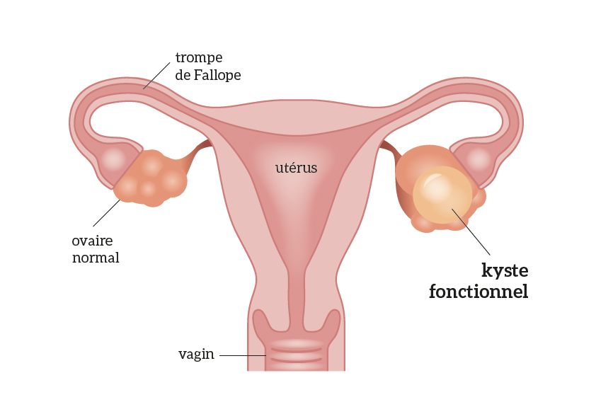 Capture d’écran 2026-02-12 à 15.40.17.png