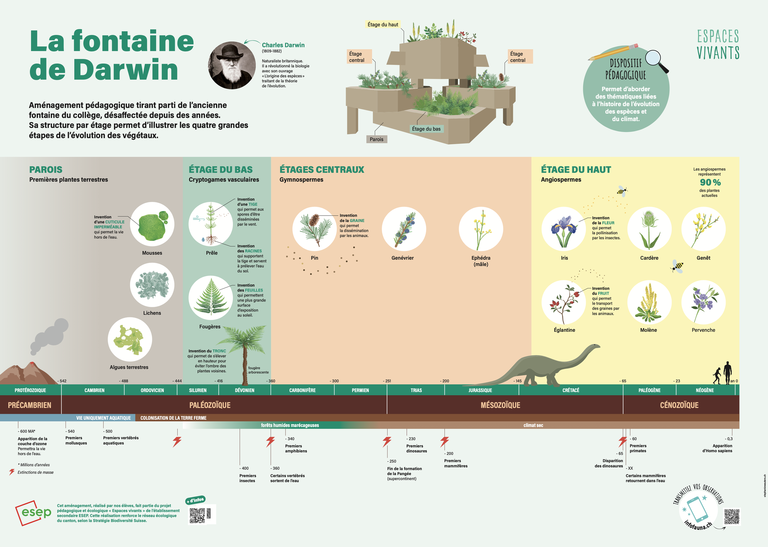Capture d’écran 2026-02-10 à 20.58.23.png