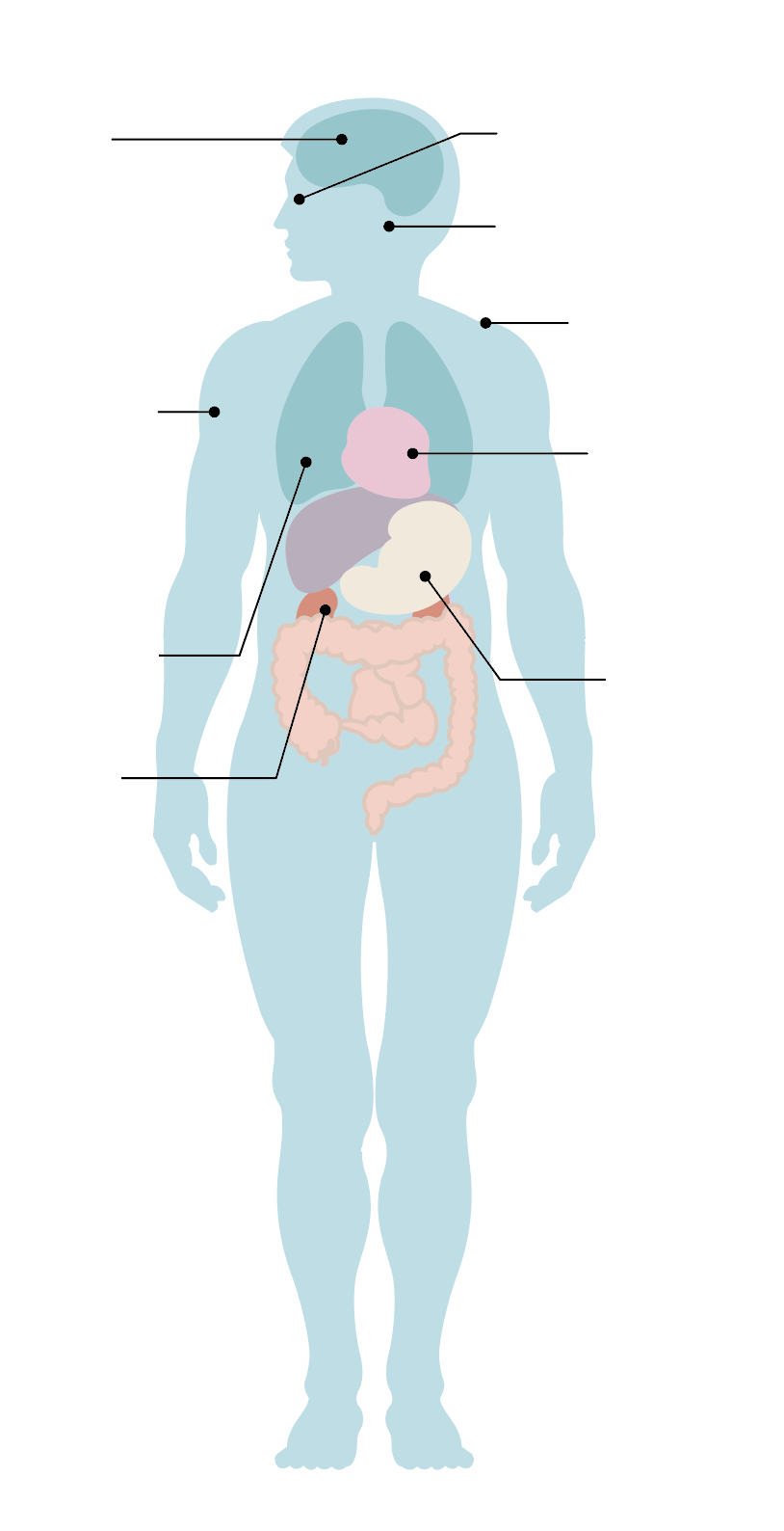 Capture d’écran 2026-02-19 à 11.38.50.png