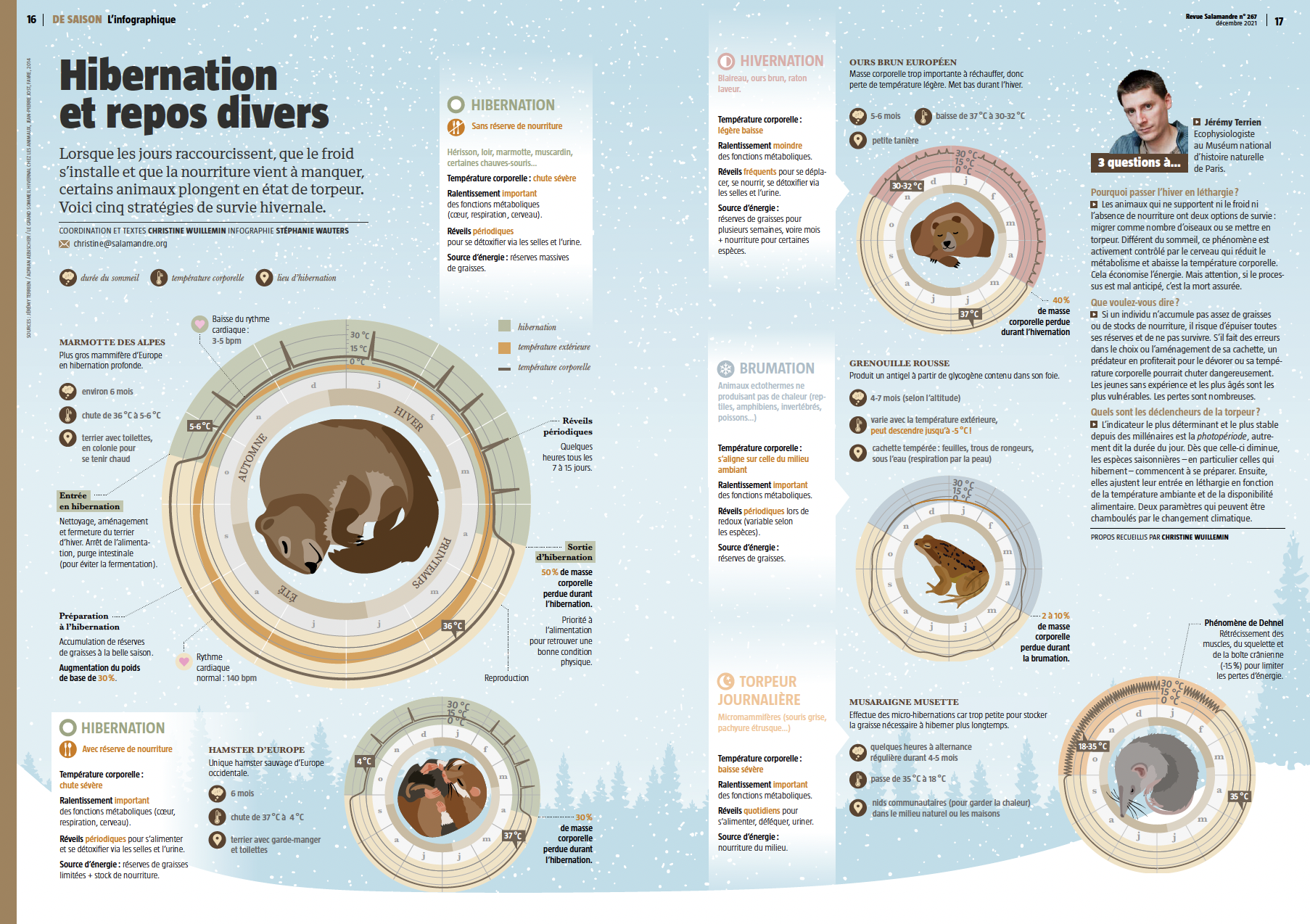 Capture d’écran 2026-02-12 à 15.58.58.png