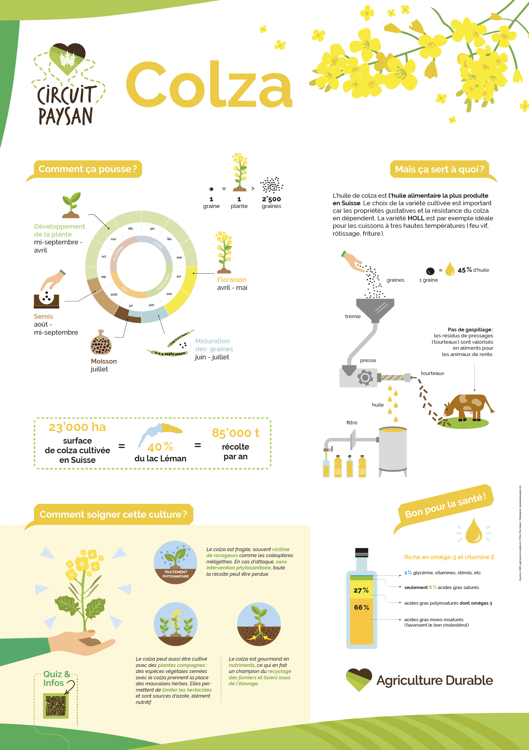 Capture d’écran 2026-02-10 à 20.55.50.png
