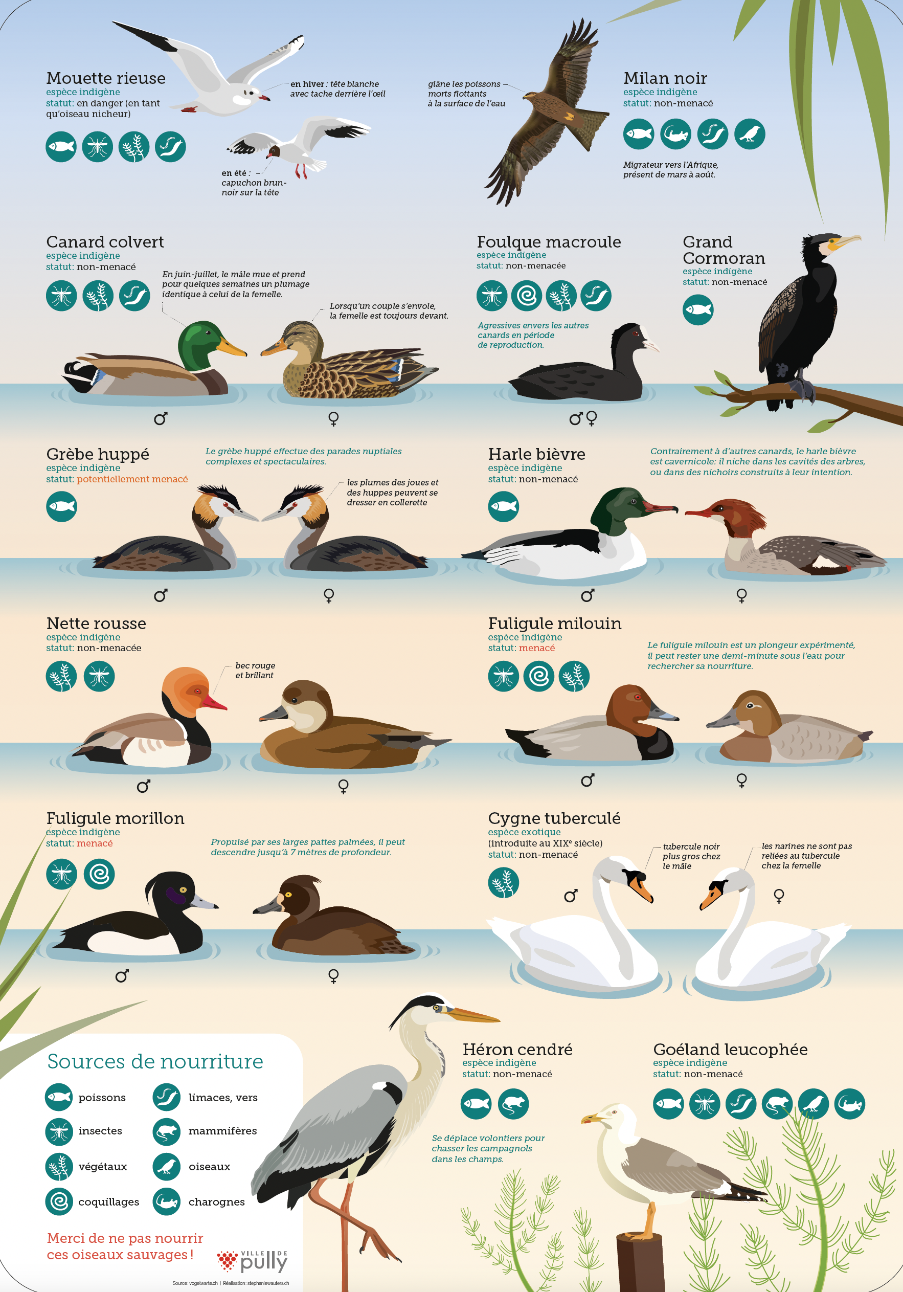 Capture d’écran 2026-02-10 à 21.00.10.png