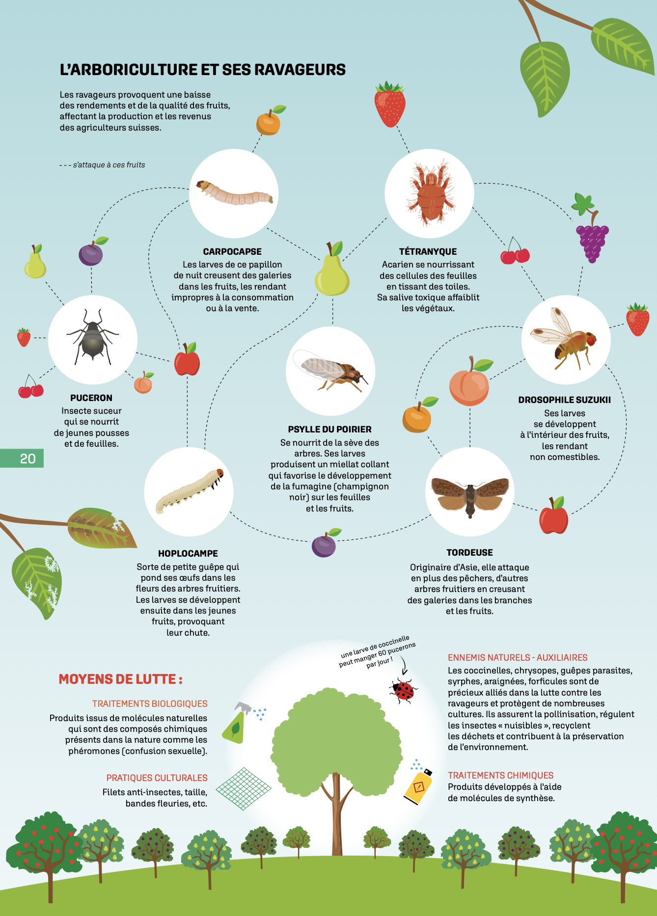 Capture d’écran 2026-02-12 à 15.50.03.png