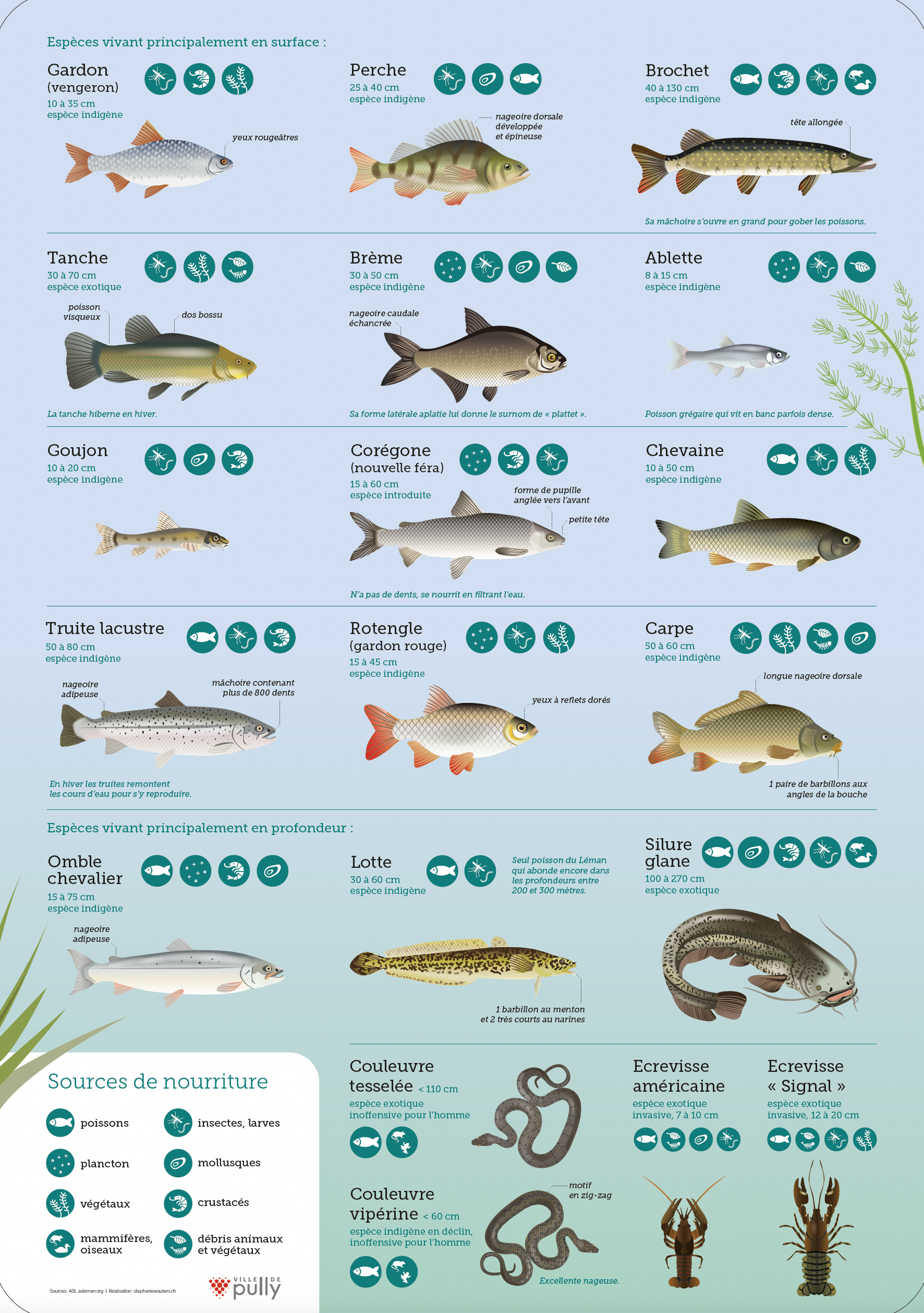 Capture d’écran 2026-02-10 à 21.00.37.png