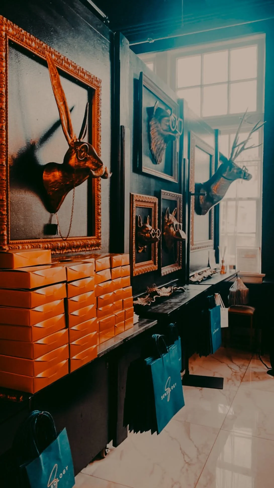 The Shops At The Crazy