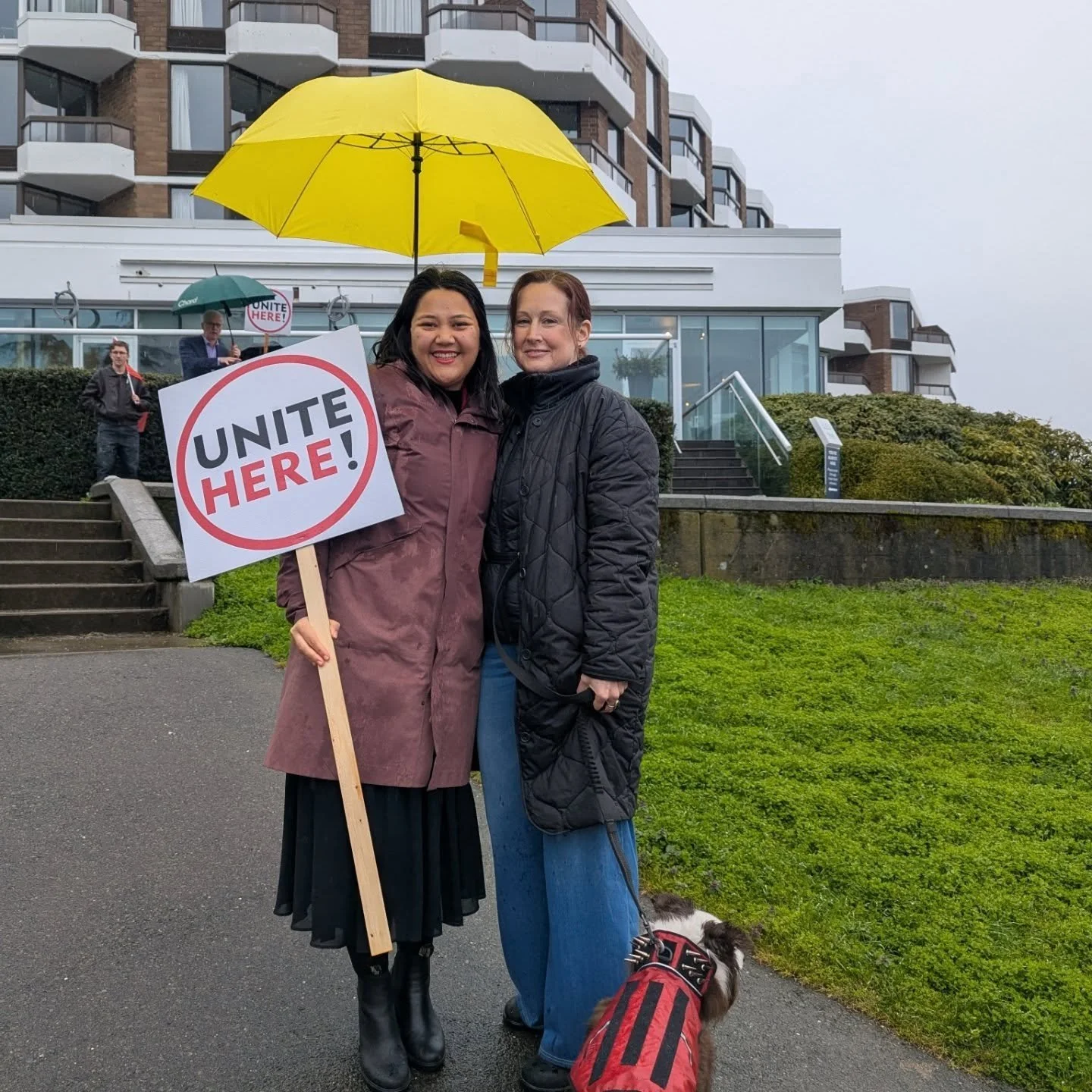 Believe it or not but you can have too many Chinese New Years event! 

1) @unitehere40 rally to support Laurel Point Inn Hotel workers 
2) NDP "Debate" where everyone agreed with everyone 
3) @victoria_chinatown_lioness Galloping Gala 🐎
4)