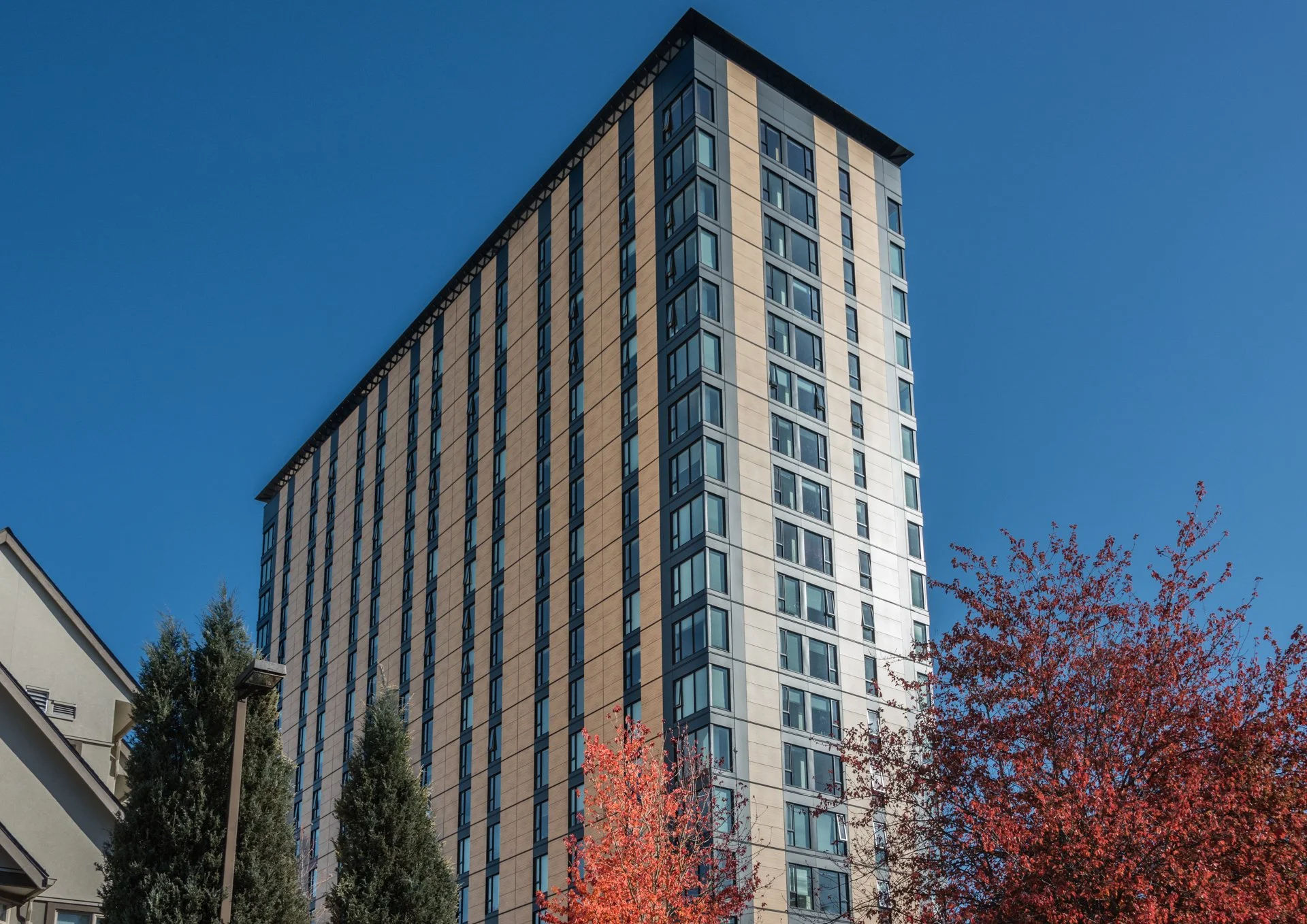 Tallwood-5.jpg