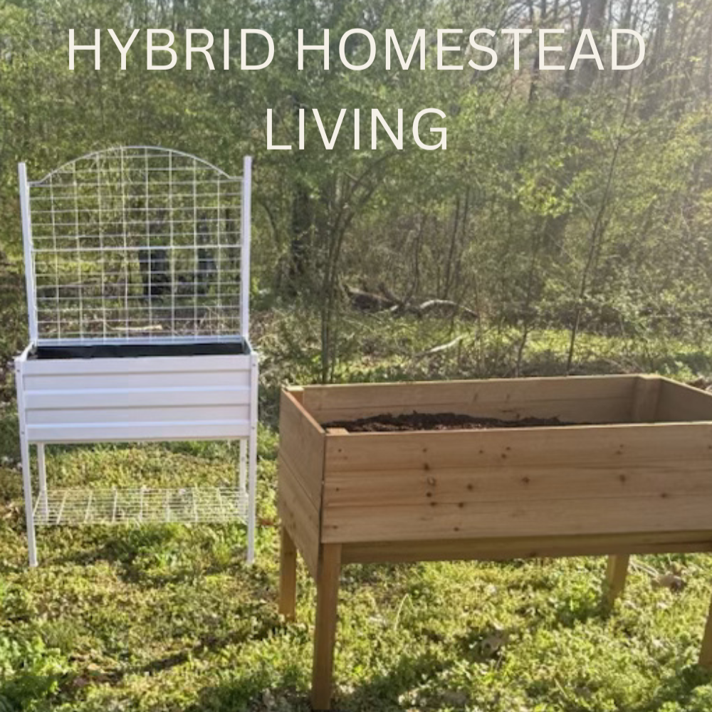Our Simple Raised Garden Bed Set Up (A hybrid homestead approach)
