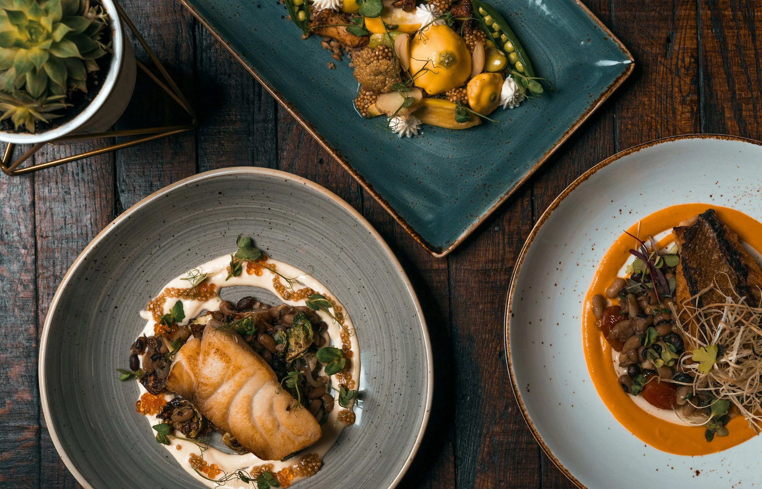 Three plates of gourmet food with roasted fish, vegetables, and garnishes, on a wooden table, with a small potted plant nearby.