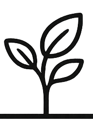 Pflanze als Symbol für Persönlichkeitsentwicklung.