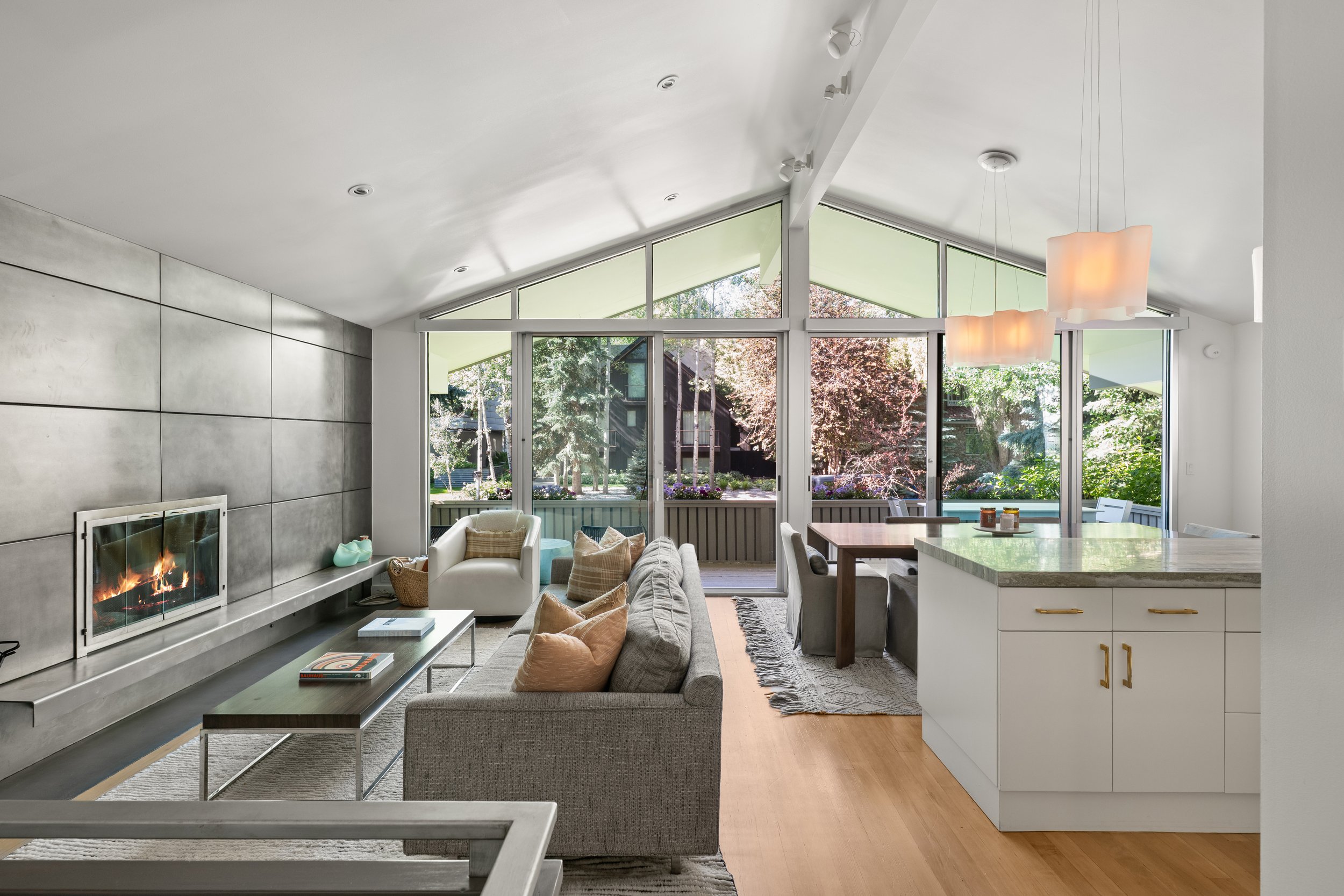 626 W Francis St, Unit A Aspen Colorado