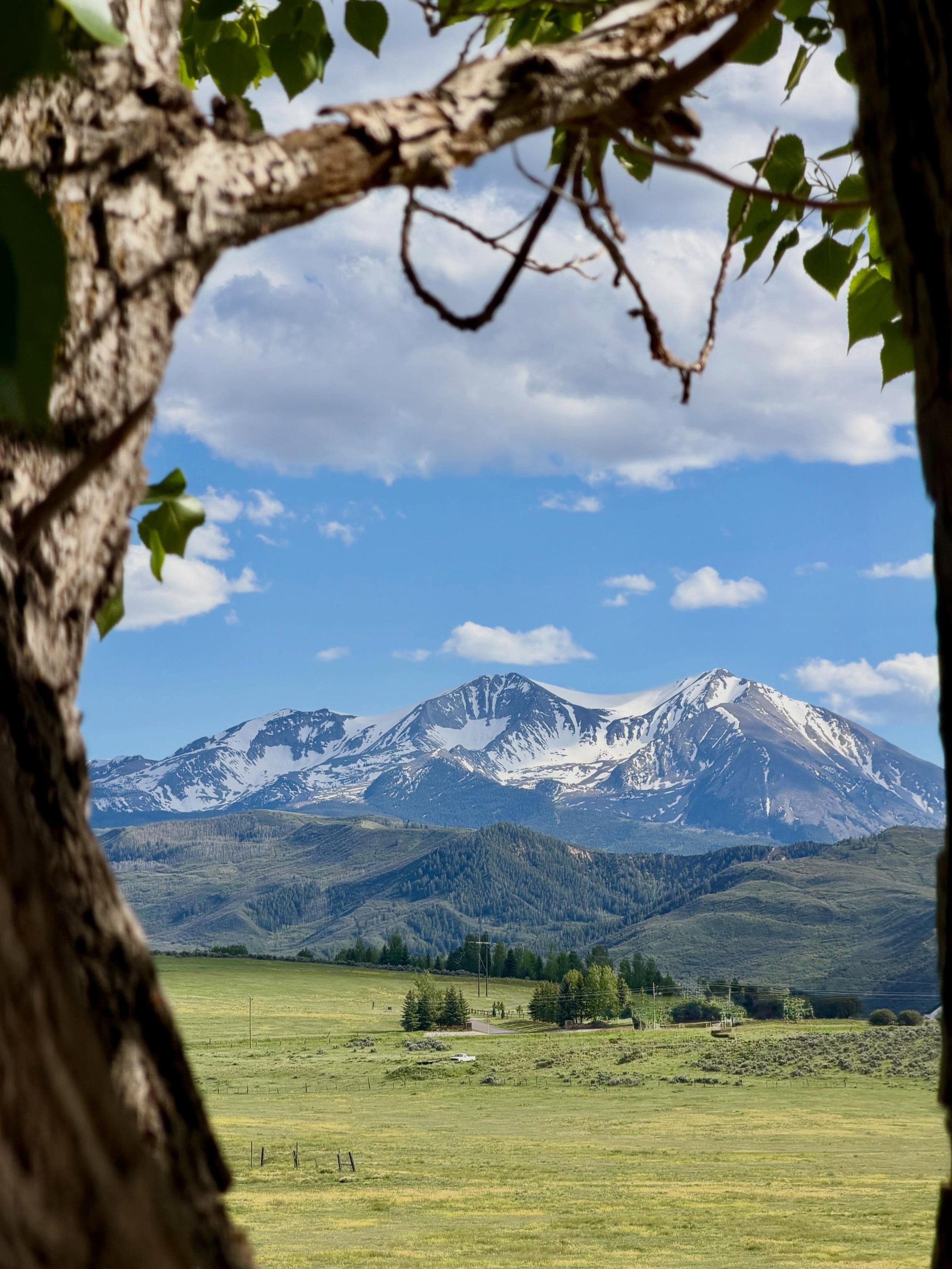 A peek at the spring views at 735 Green Meadow

Listed by: Lane Johnson &amp; Lindsay Hoffmann

📸: @linds_hoff 

#realtesate #listing #carbondale #colorado #mountainliving