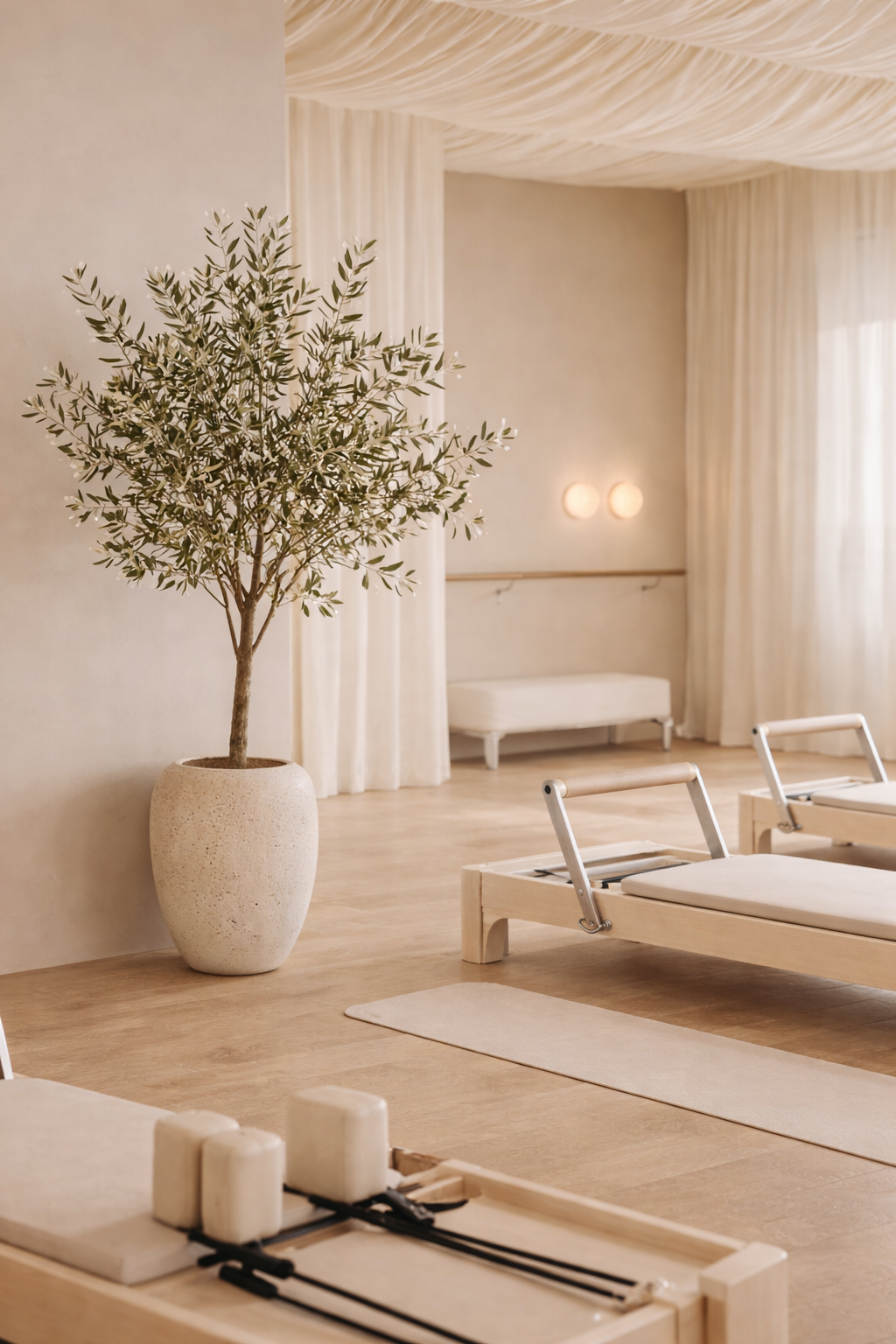 A serene wellness center room with light wooden massage tables, a potted olive tree, white curtains, and minimalistic decor.