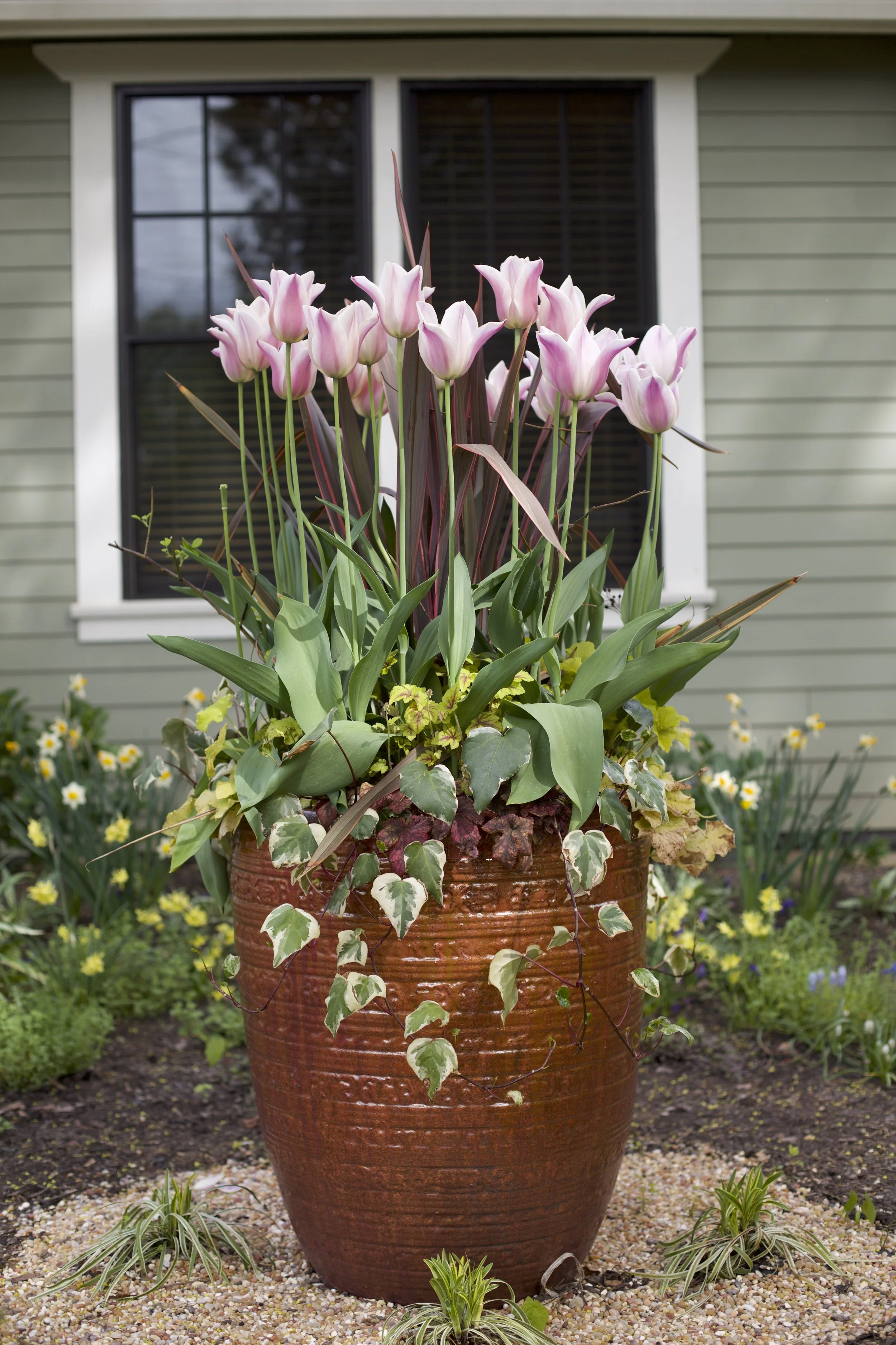 Spring tulip planter garden design by Garden Riot Designs, Pacific Northwest 