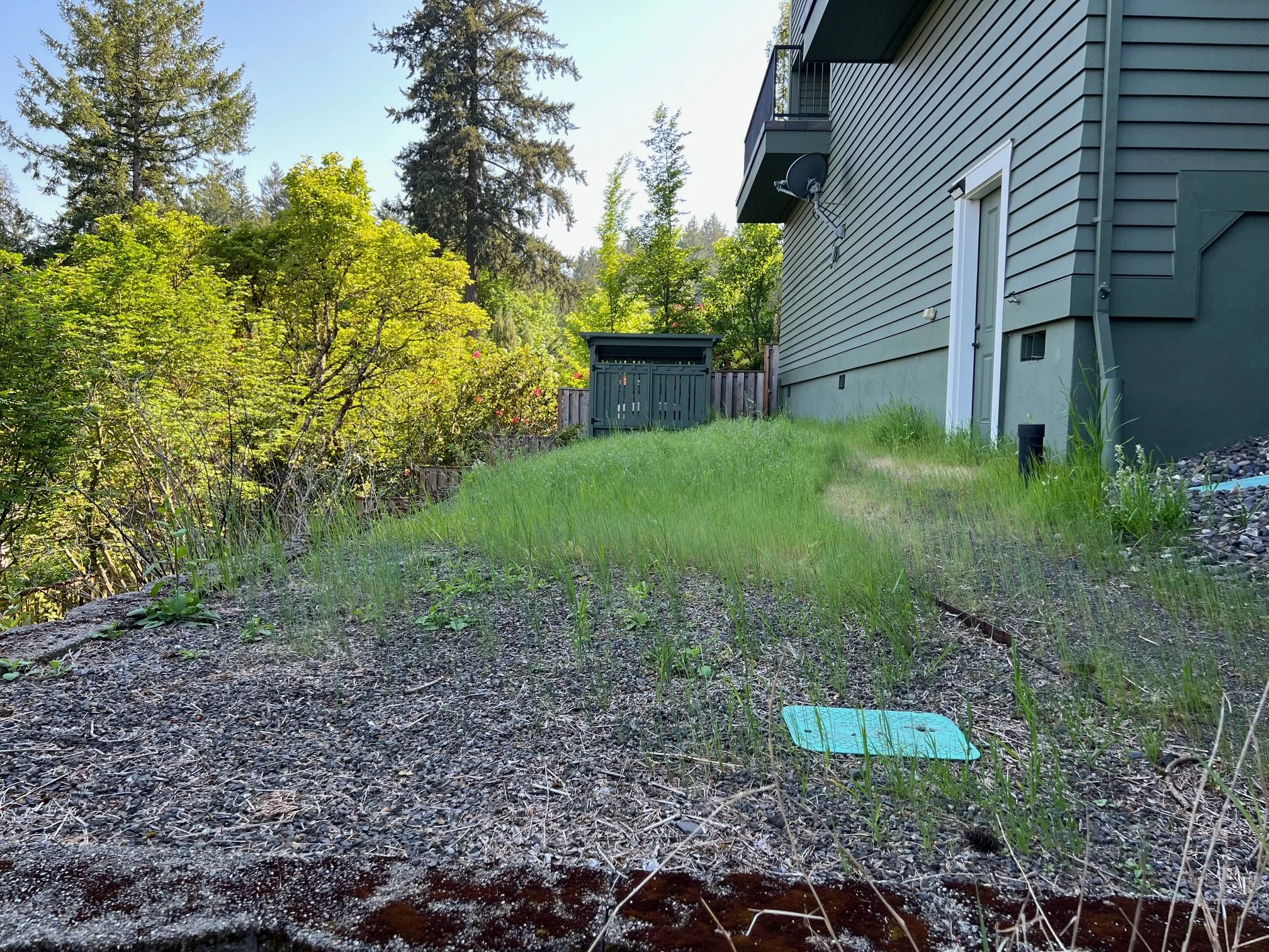 Before and after landscape design transformation by Garden Riot Designs, Pacific Northwest